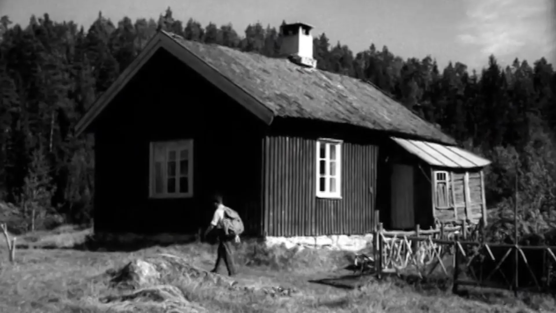 Beskrivende bilde relatert til innholdet i filmen "Oslo : byen med de grønne grenser"