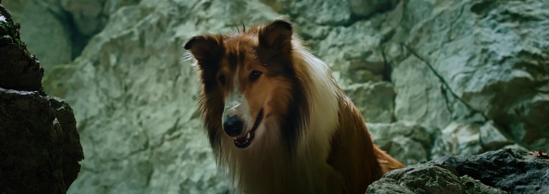 Beskrivende bilde relatert til innholdet i filmen "Lassie kommer hjem"