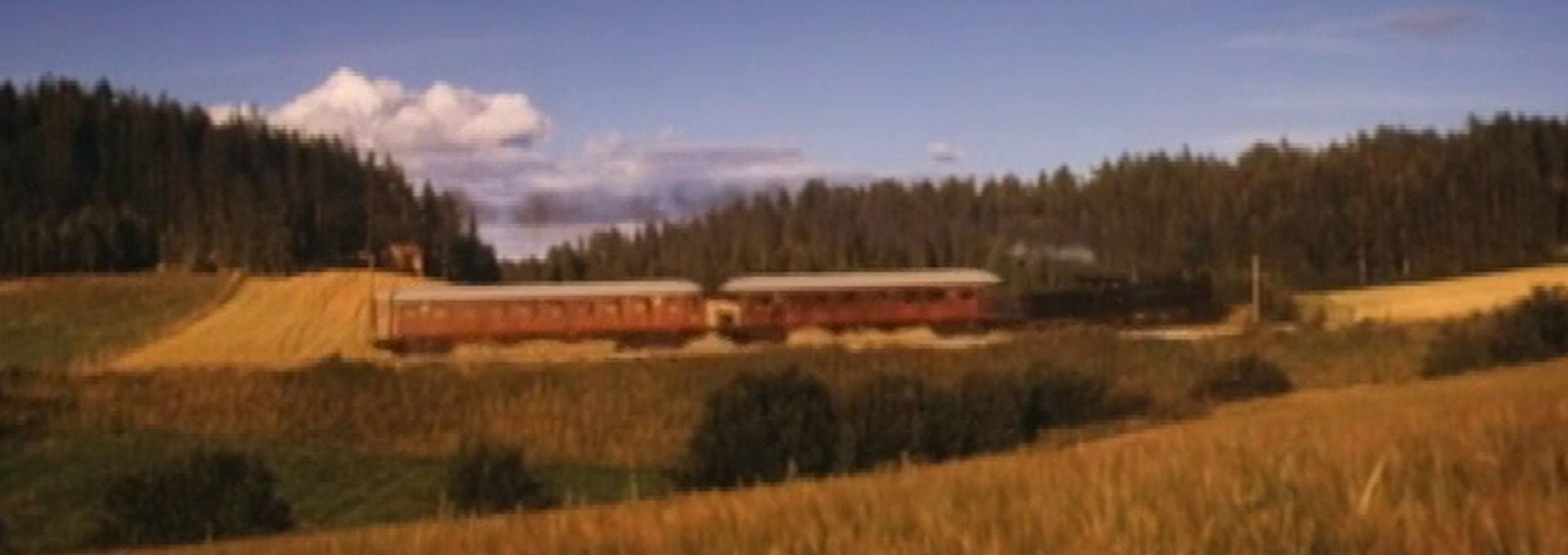 Beskrivende bilde relatert til innholdet i filmen "Svampe"