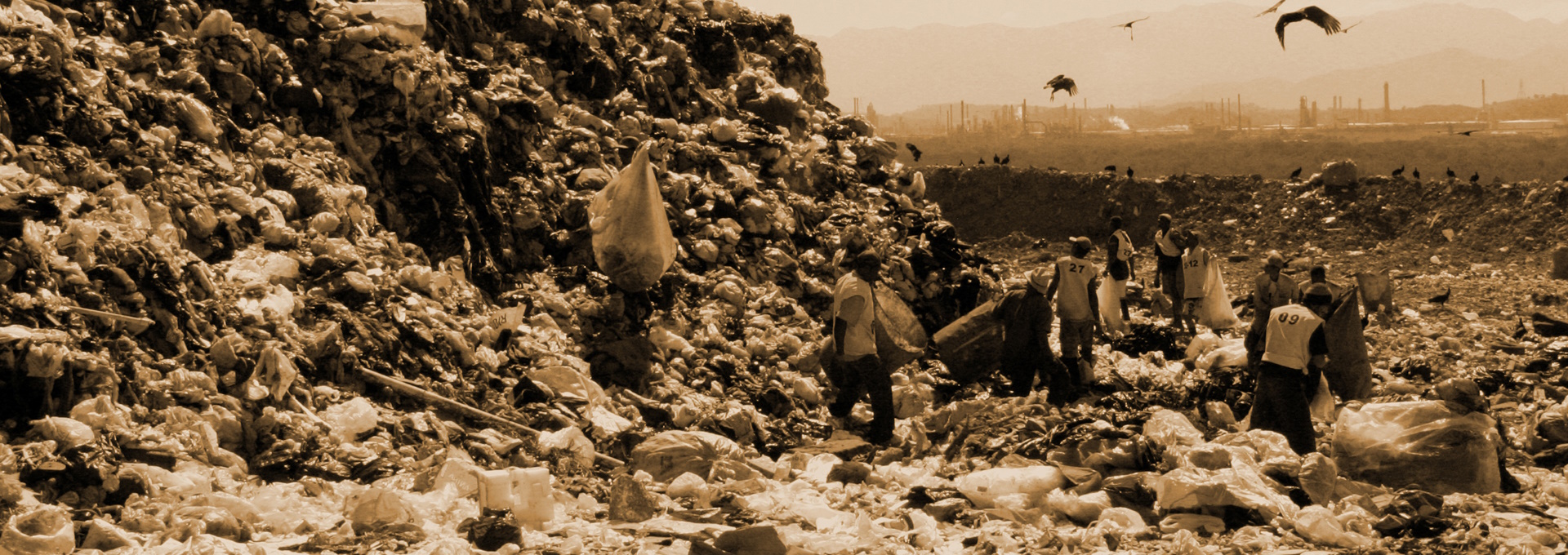 Beskrivende bilde relatert til innholdet i filmen "Waste Land"