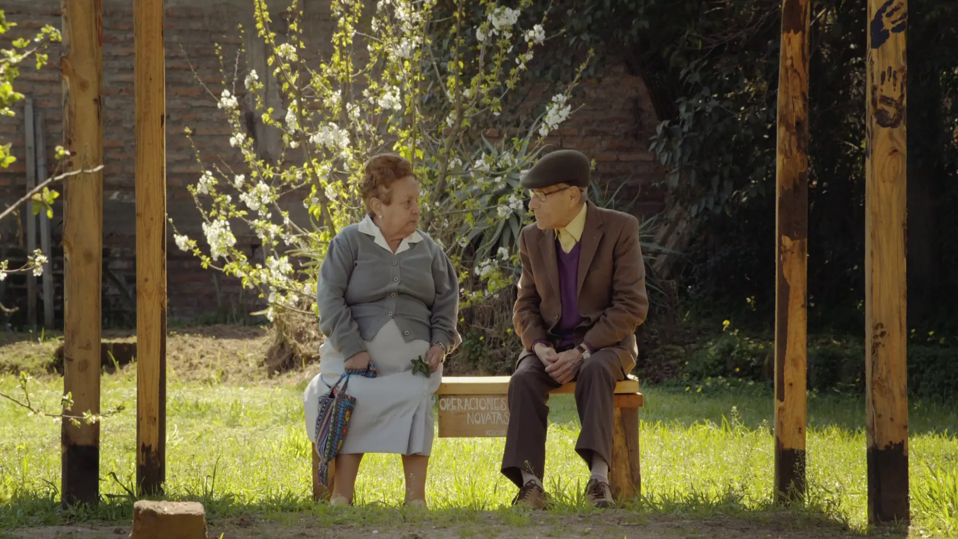Beskrivende bilde relatert til innholdet i filmen "The Mole Agent"