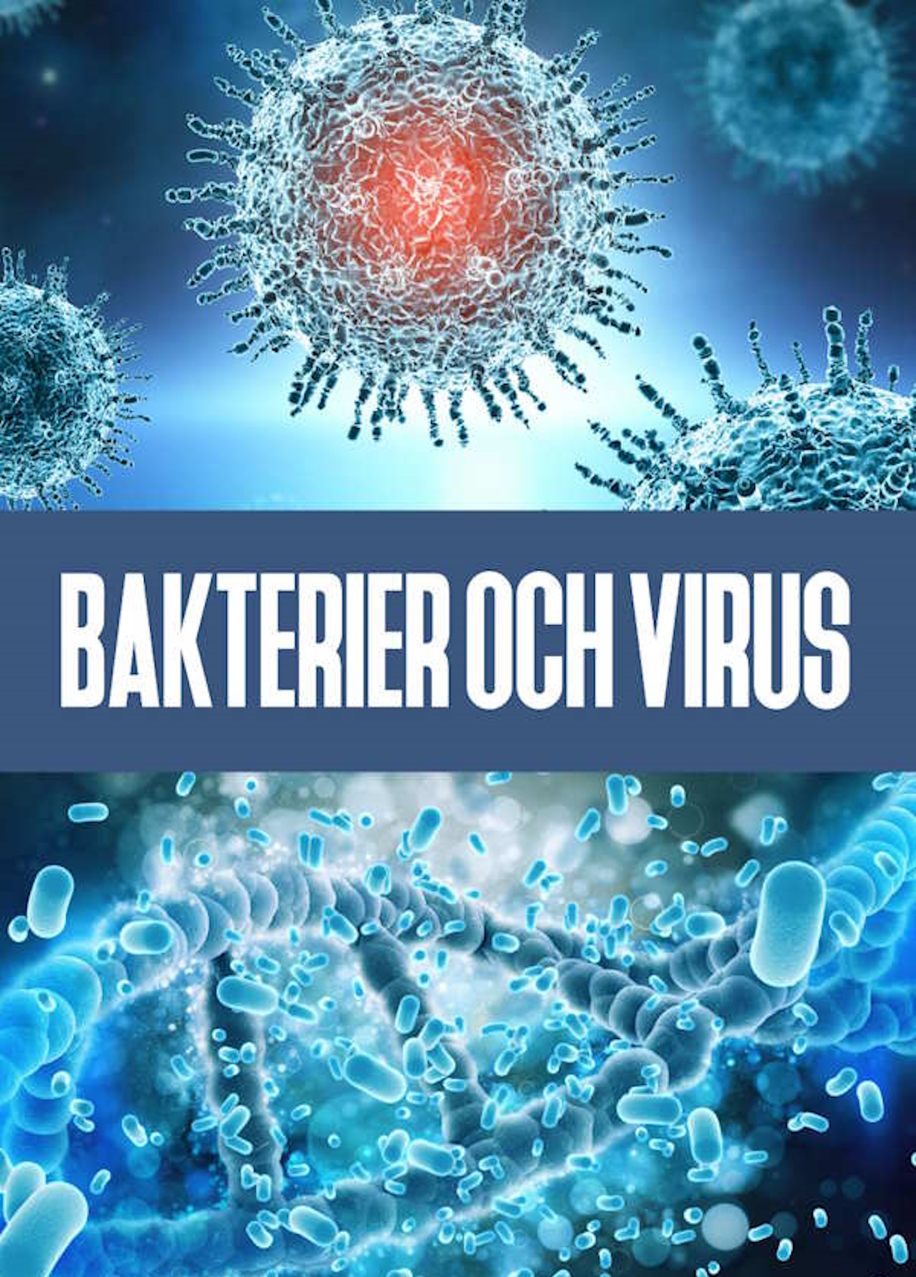 Beskrivende bilde relatert til innholdet i filmen "Menneskekroppen - bakterier og virus"