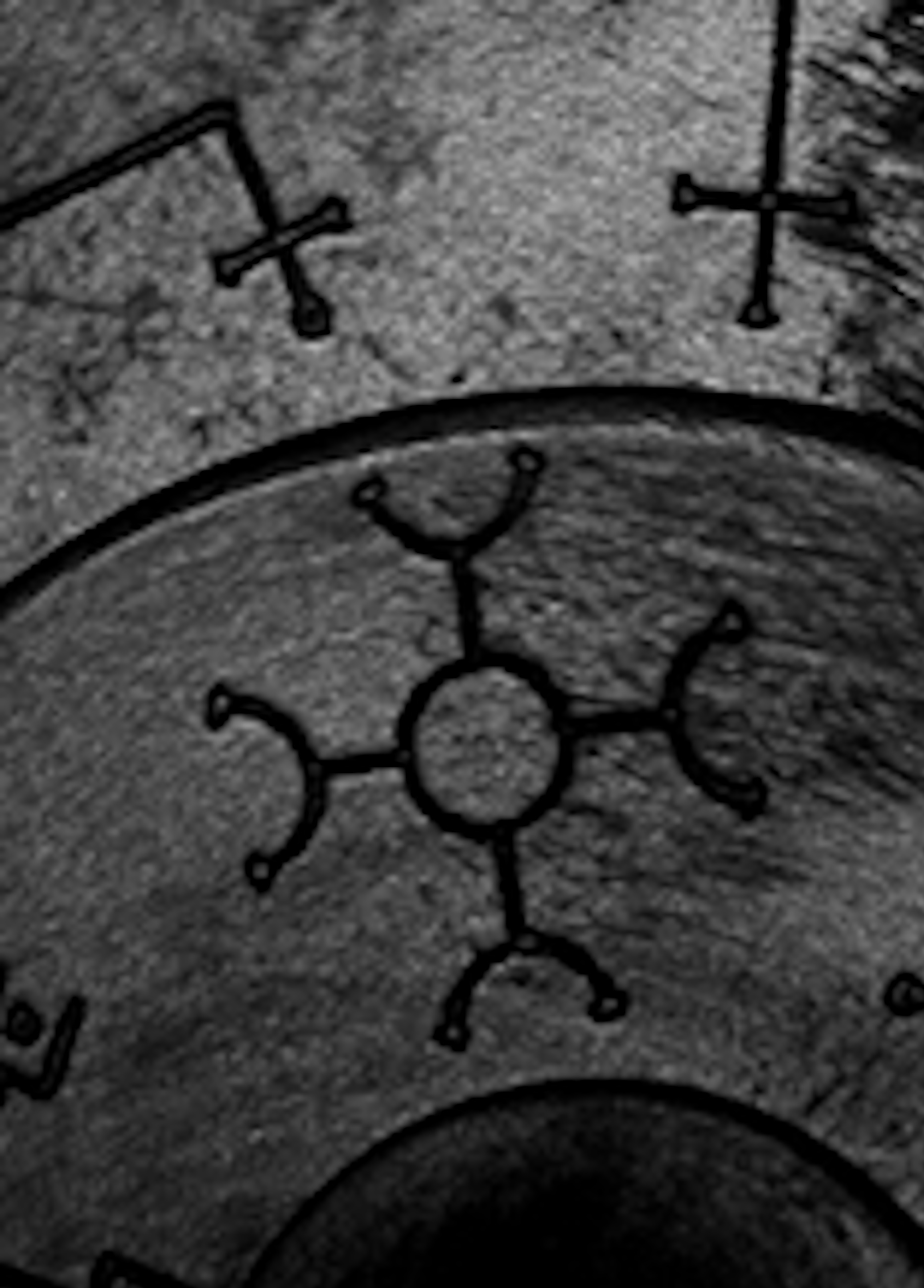Beskrivende bilde relatert til innholdet i filmen "Tempus fugit"