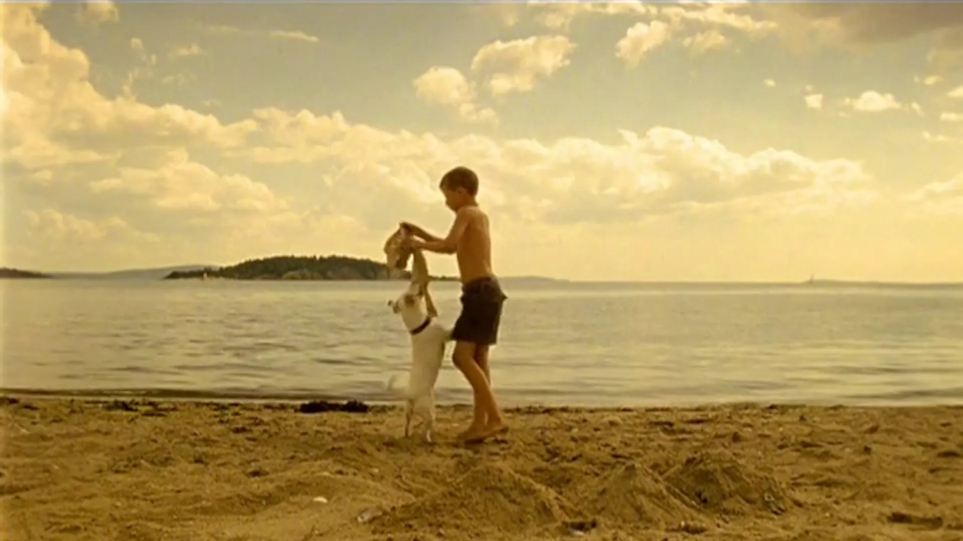Beskrivende bilde relatert til innholdet i filmen "Houdinis hund"