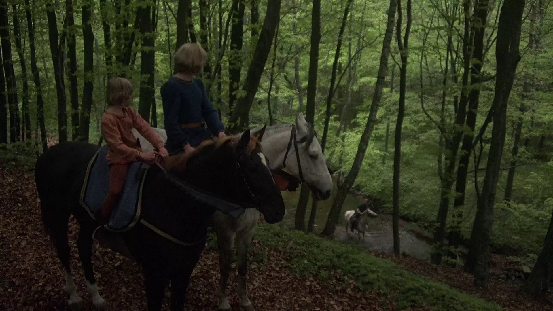 Beskrivende bilde relatert til innholdet i filmen "Brødrene Løvehjerte"