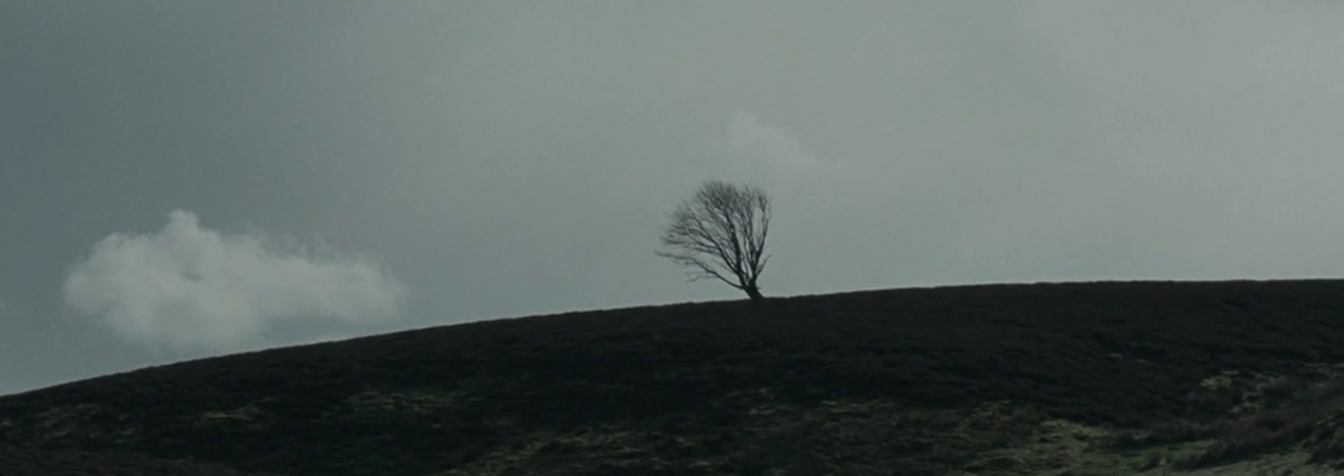 Beskrivende bilde relatert til innholdet i filmen "Wuthering Heights"