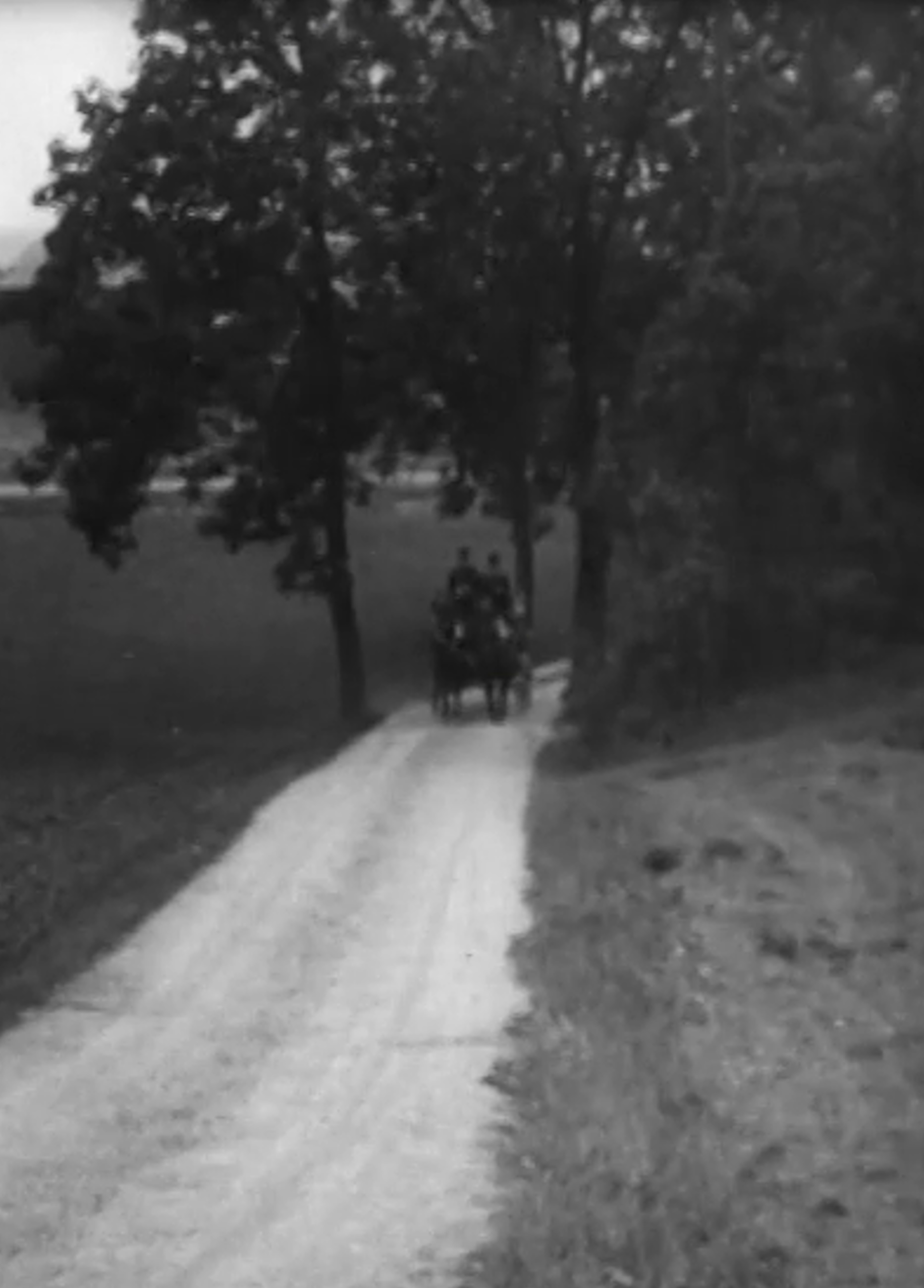 Beskrivende bilde relatert til innholdet i filmen "Under forvandlingens lov"