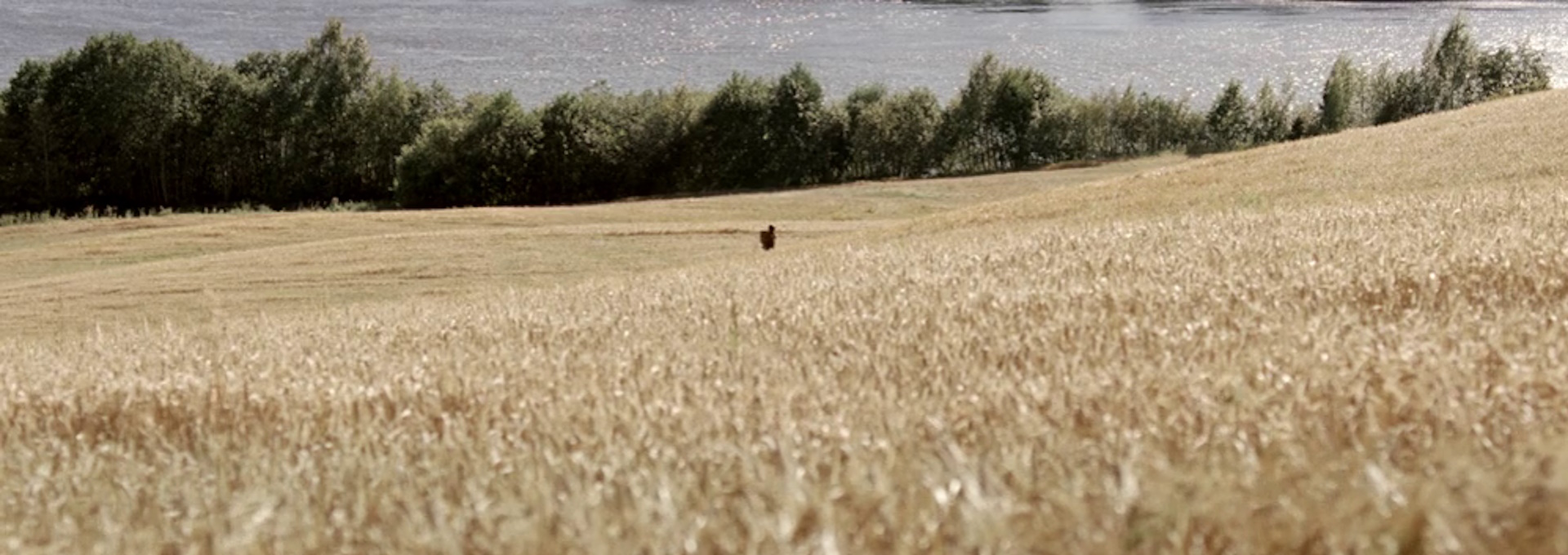 Beskrivende bilde relatert til innholdet i filmen "Mitt lys i mørket"