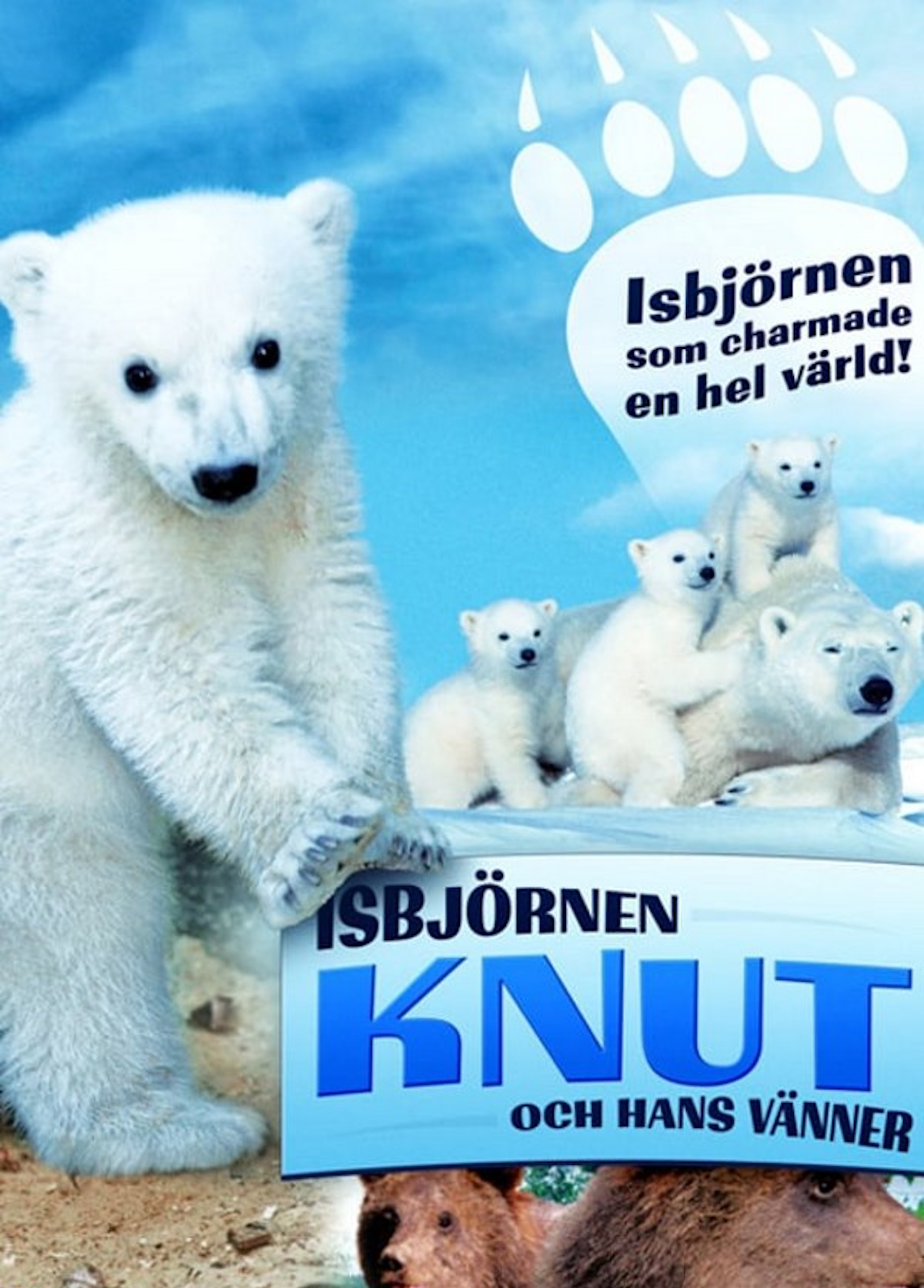 Beskrivende bilde relatert til innholdet i filmen "Isbjørnen Knut"