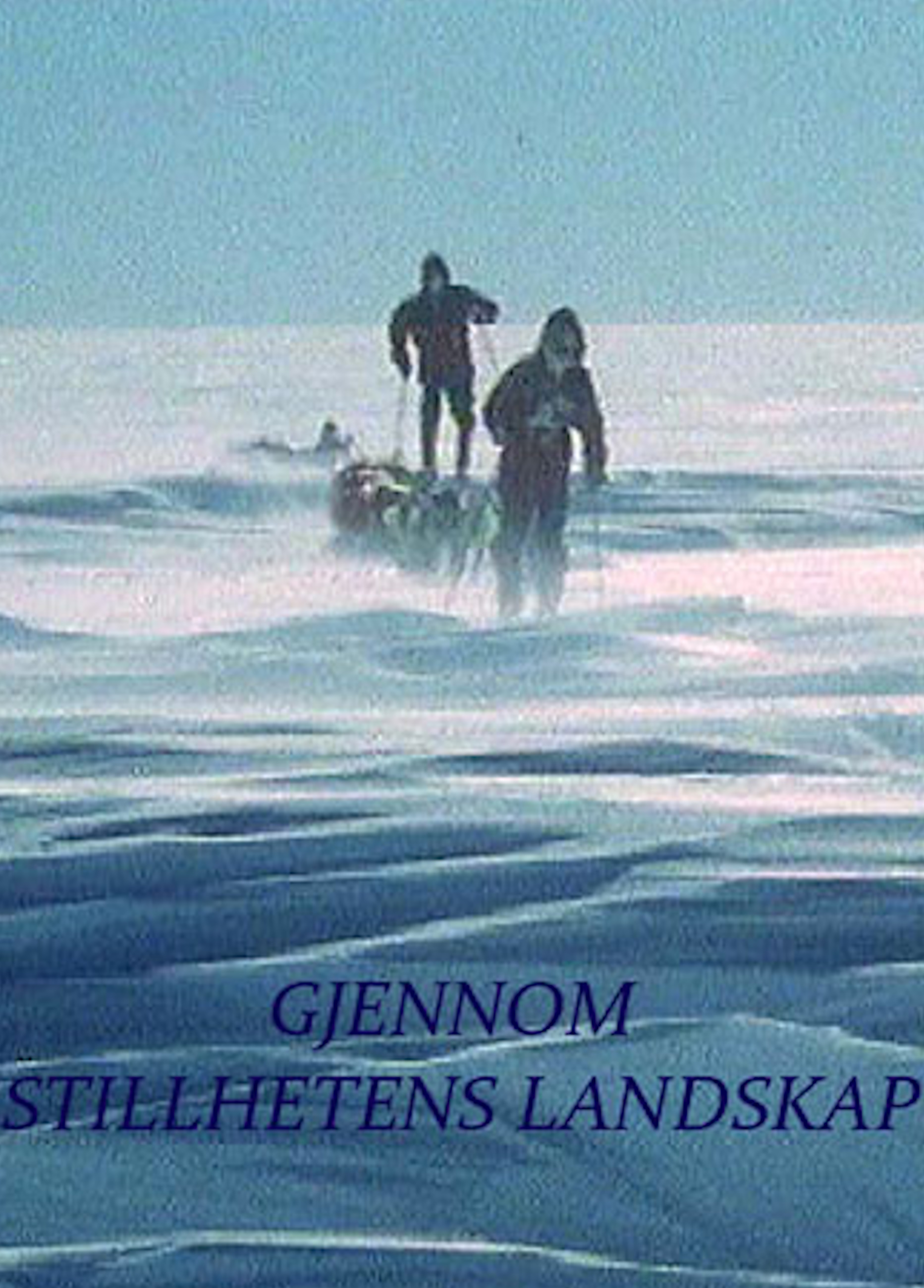 Beskrivende bilde relatert til innholdet i filmen "Gjennom stillhetens landskap"