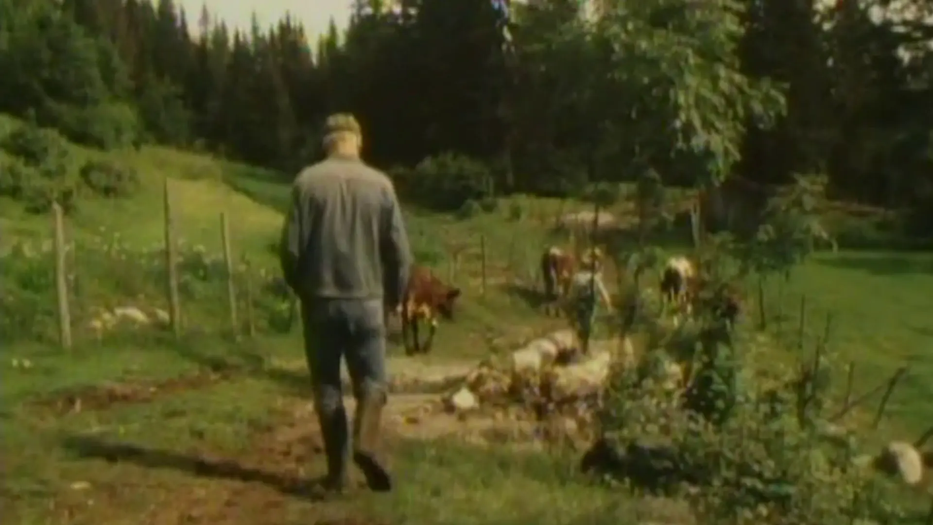 Beskrivende bilde relatert til innholdet i filmen "Berit og johannes"