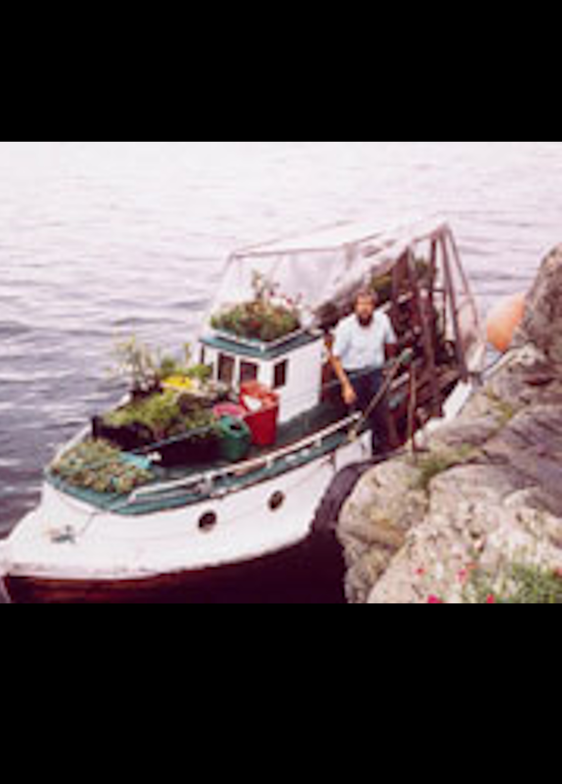 Beskrivende bilde relatert til innholdet i filmen "Elmer og blomsterbåten"