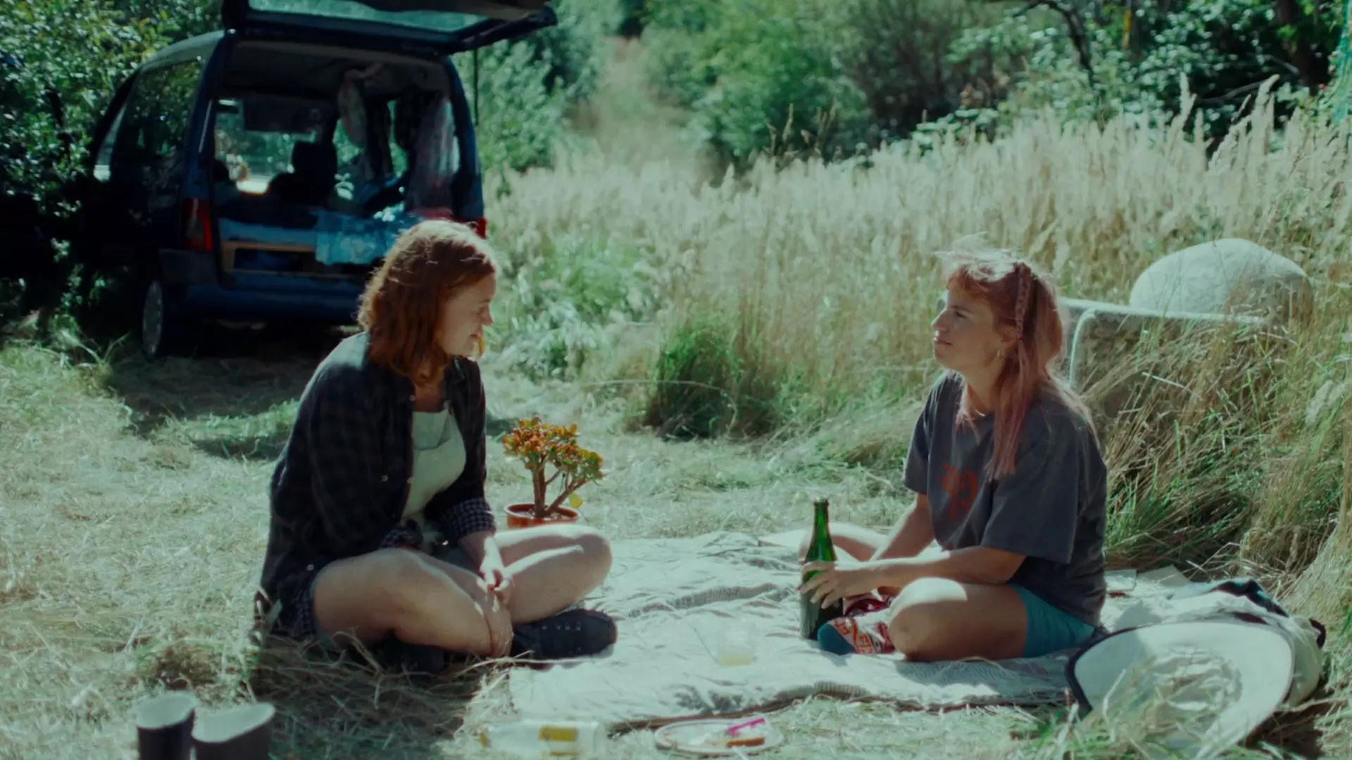 Beskrivende bilde relatert til innholdet i filmen "Venuseffekten"