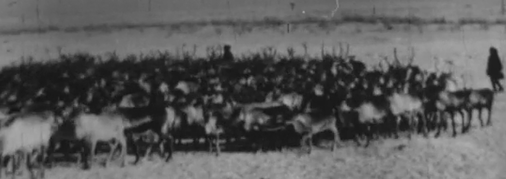 Beskrivende bilde relatert til innholdet i filmen "Norsk Films revy nr. 27, 1942"