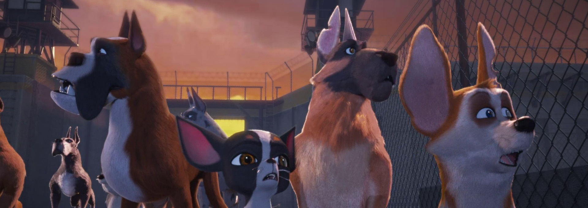 Beskrivende bilde relatert til innholdet i filmen "Ozzy"
