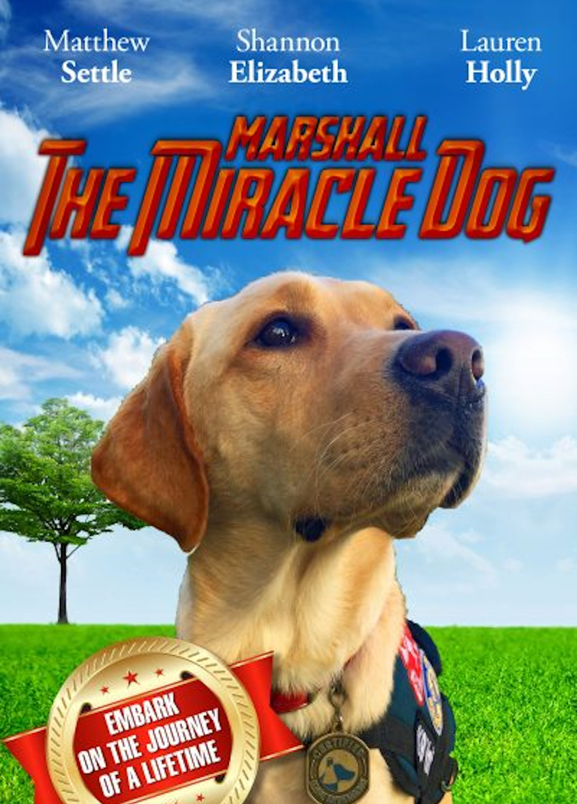 Beskrivende bilde relatert til innholdet i filmen "Marshall the miracle dog"