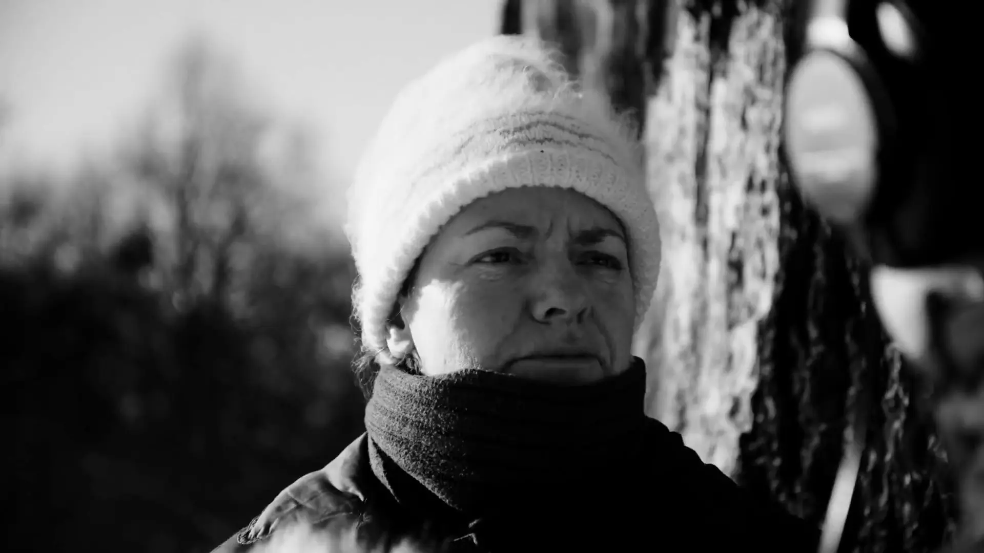 Beskrivende bilde relatert til innholdet i filmen "Karl Marx City"