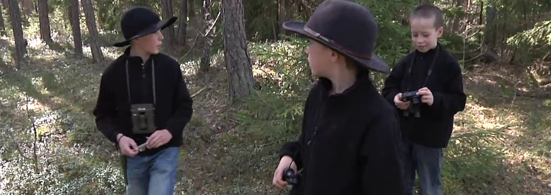 Beskrivende bilde relatert til innholdet i filmen "Drømmen om kongeørnen"