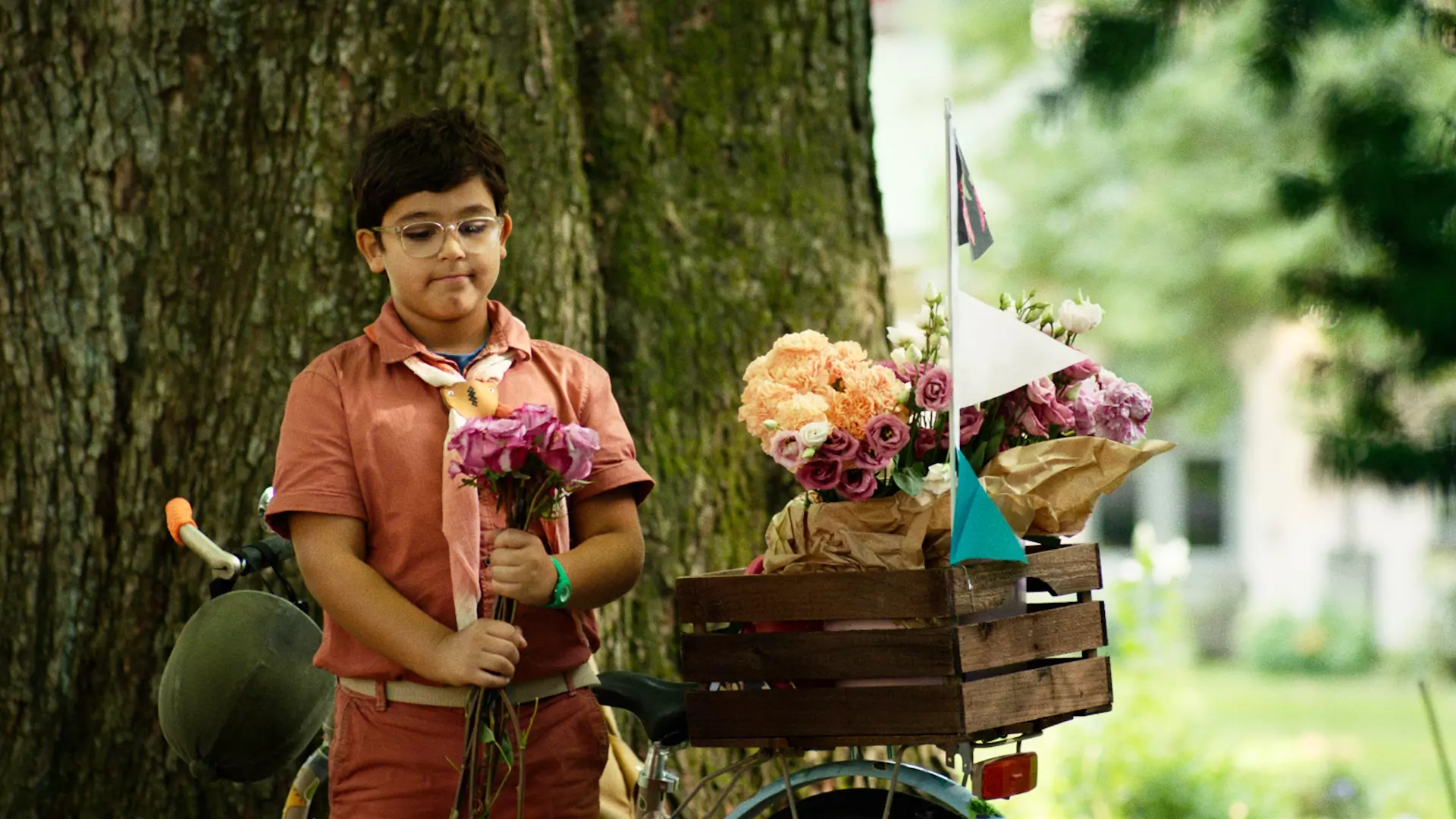 En ung gutt står med sykkelen sin foran et stort tre. På seg har han lakserosa bukse og skjorte, skjerf rundt halsen og briller. På sykkelen har han en eske som er full av blomster. Han holder også noen blomster i hendene sine. 