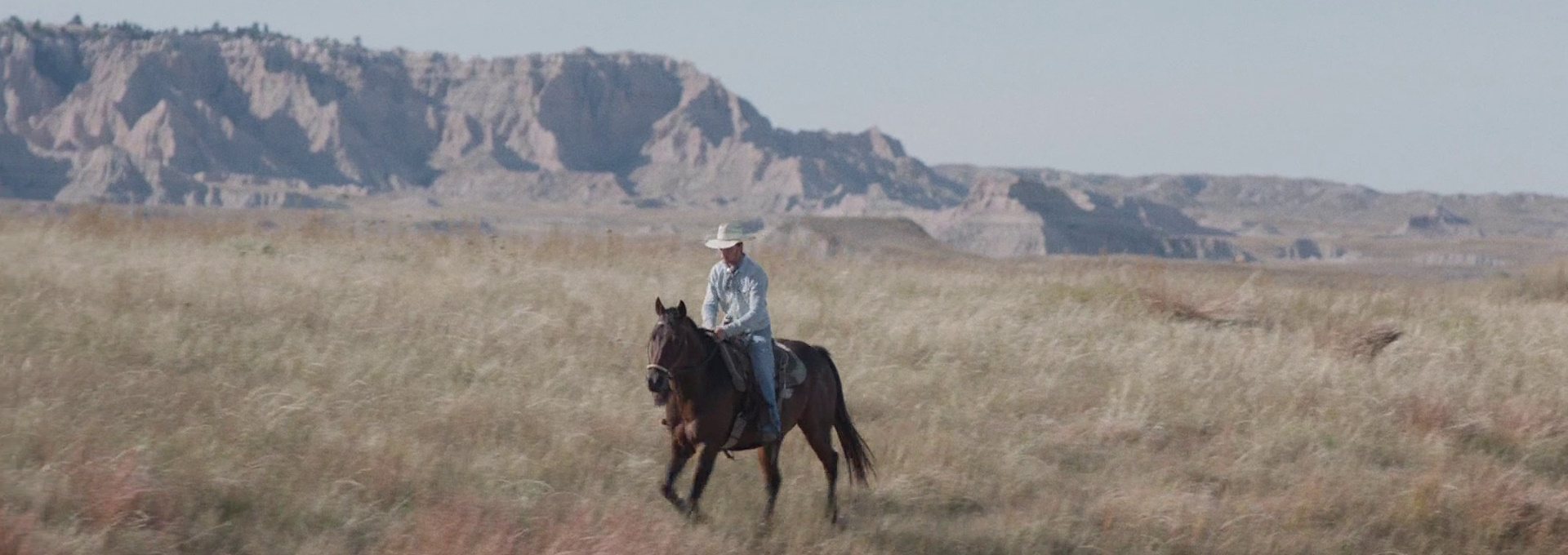 Beskrivende bilde relatert til innholdet i filmen "The Rider"