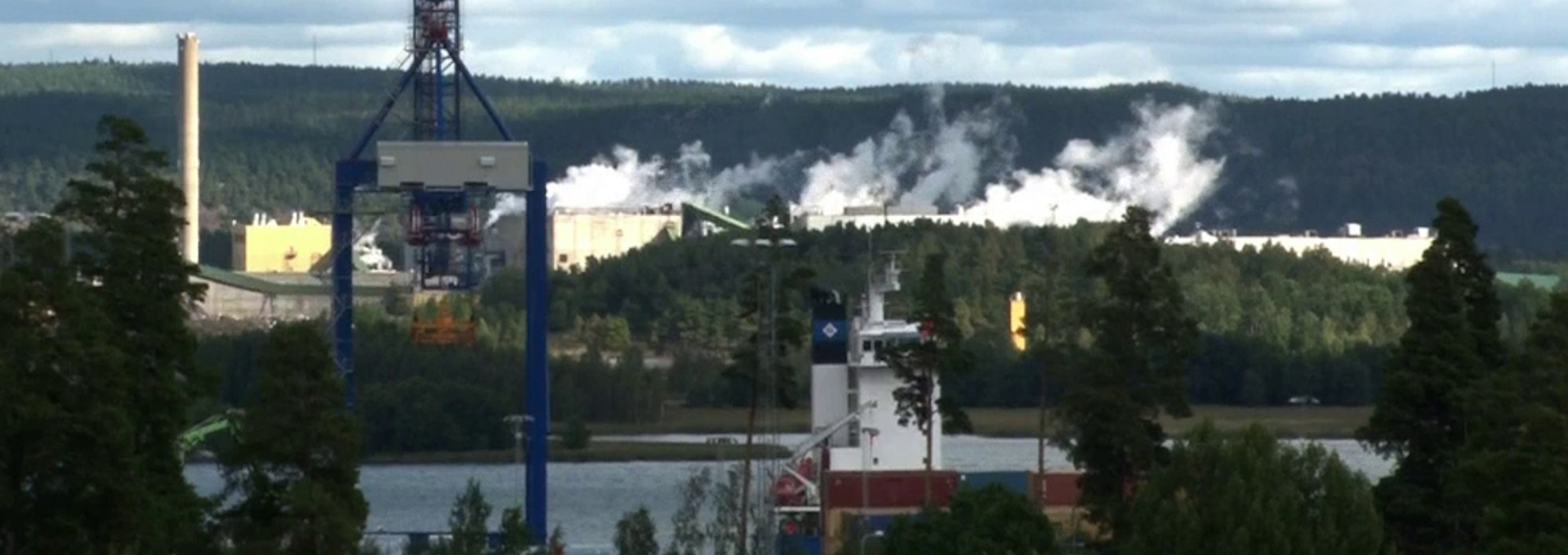 Beskrivende bilde relatert til innholdet i filmen "Bioenergi"