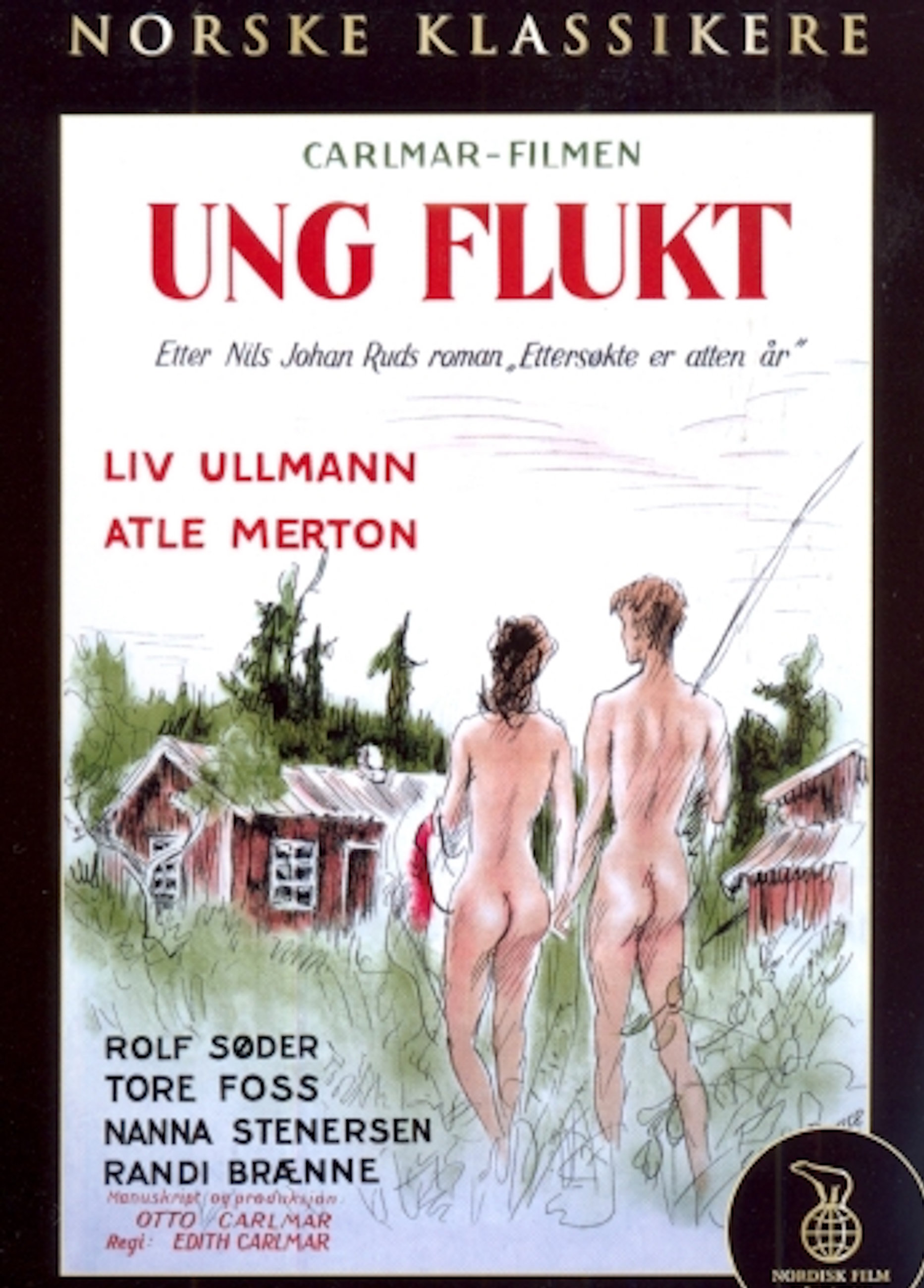 Beskrivende bilde relatert til innholdet i filmen "Ung flukt"