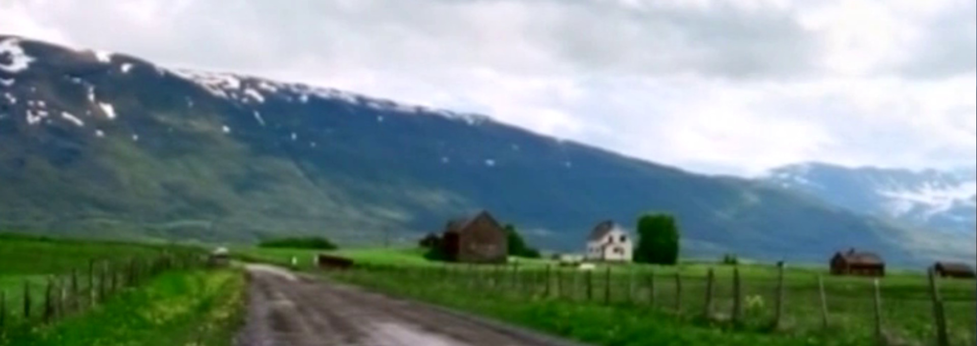 Beskrivende bilde relatert til innholdet i filmen "Hund, søndag kl. elleve"