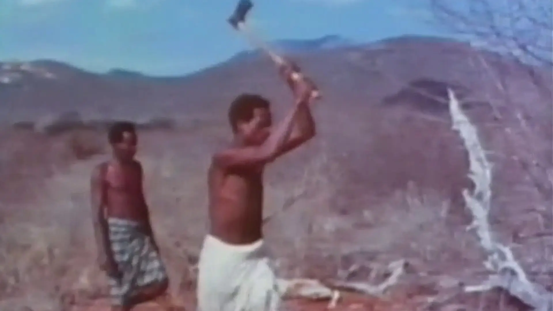 Beskrivende bilde relatert til innholdet i filmen "Baobab - et afrikansk tre"