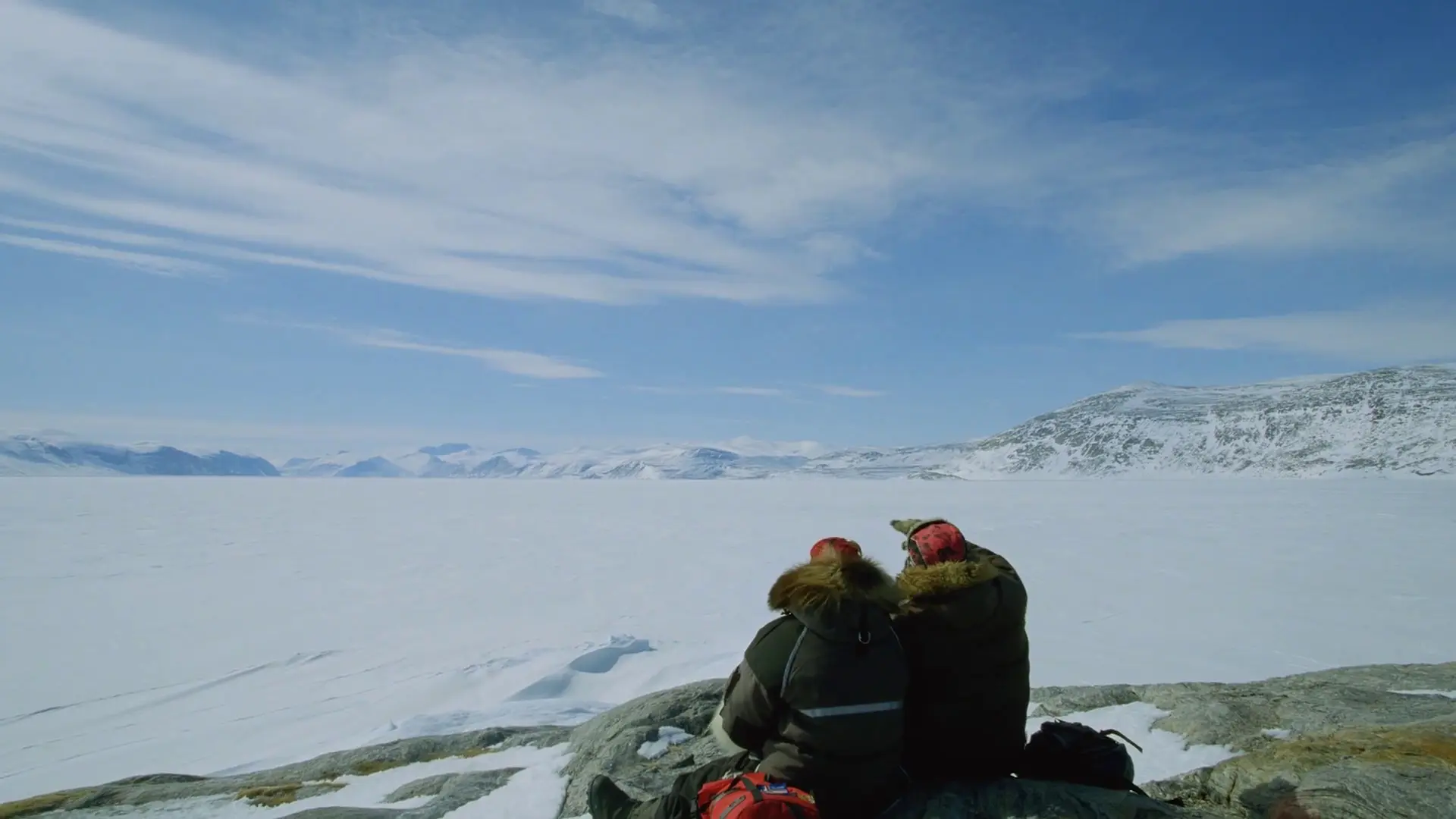 Beskrivende bilde relatert til innholdet i filmen "Den arktiske verden"