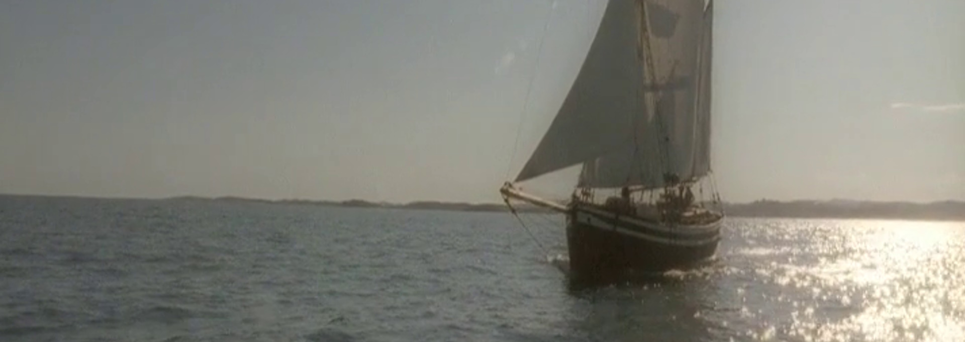 Beskrivende bilde relatert til innholdet i filmen "Natural Born Star"