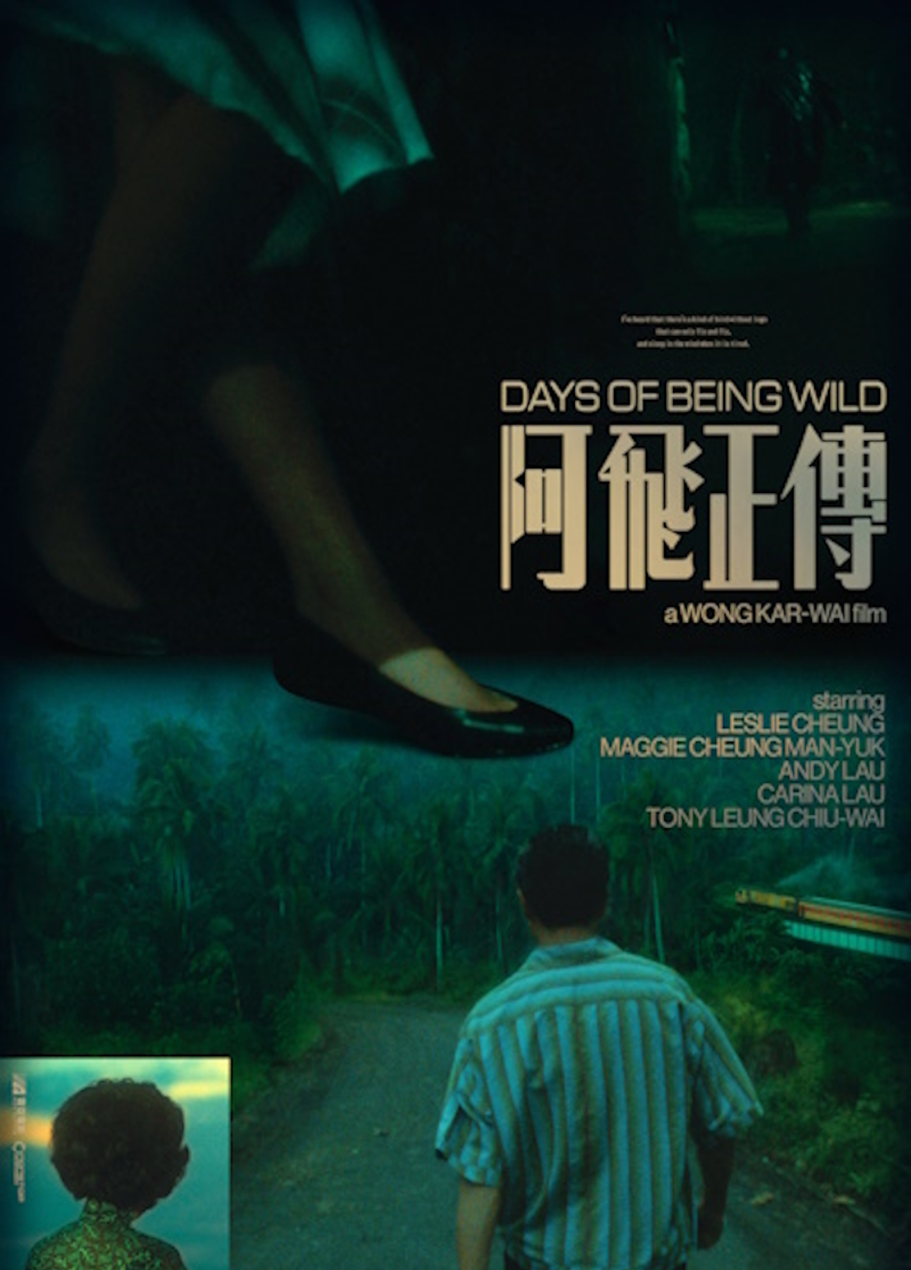 Beskrivende bilde relatert til innholdet i filmen "Days of Being Wild"