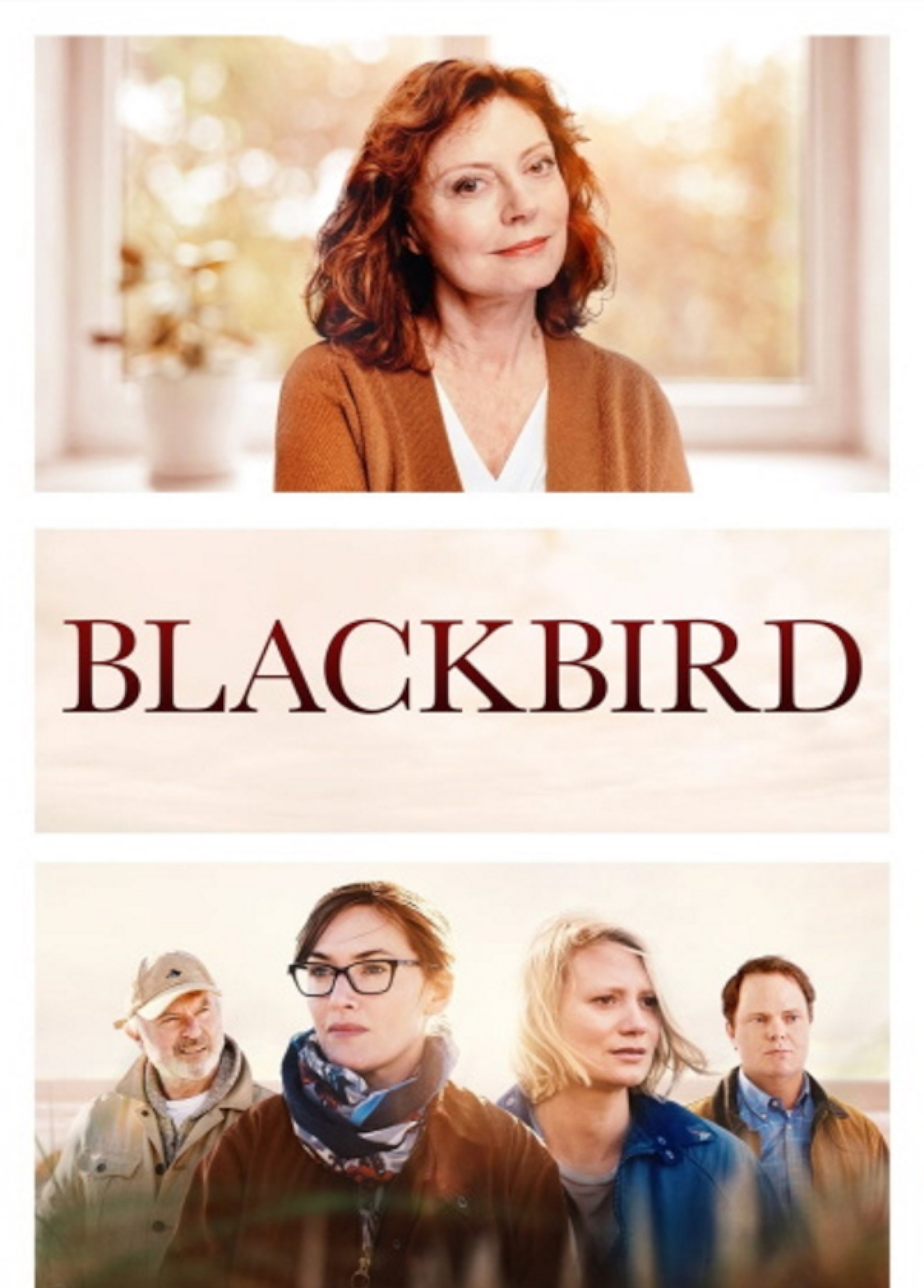 Beskrivende bilde relatert til innholdet i filmen "Blackbird"
