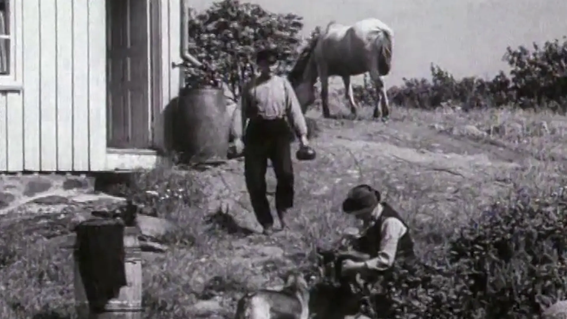 Beskrivende bilde relatert til innholdet i filmen "Fant"