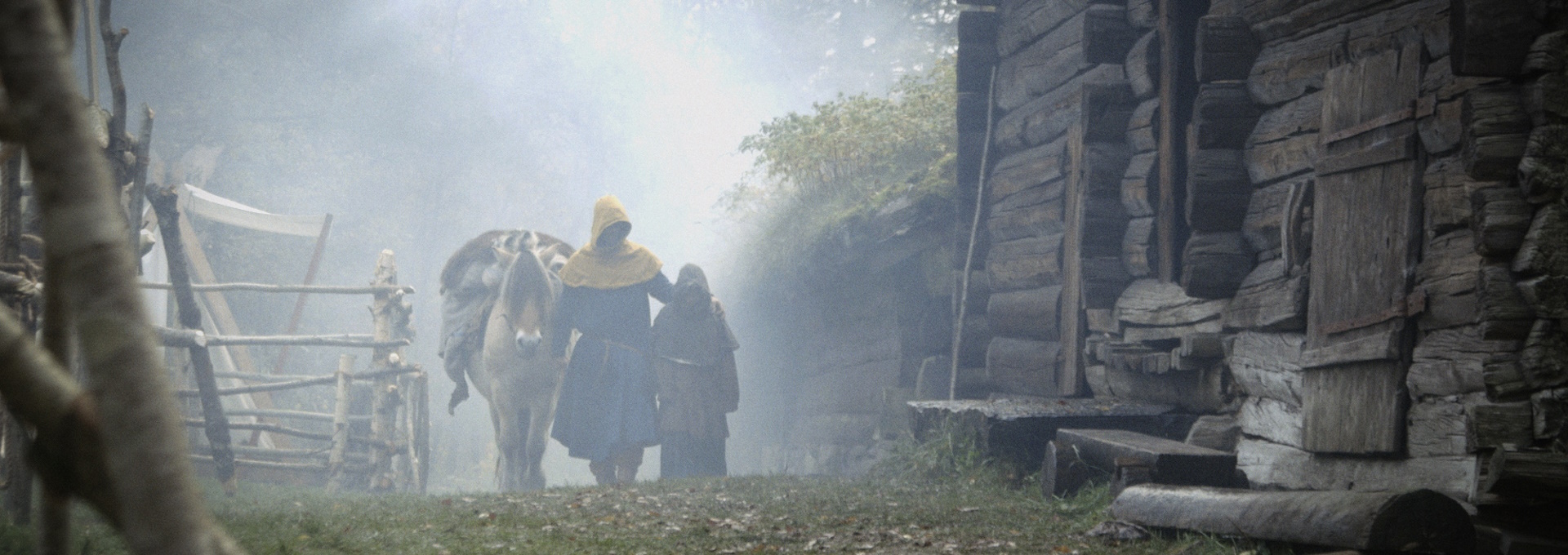 Beskrivende bilde relatert til innholdet i filmen "Svartedauen"