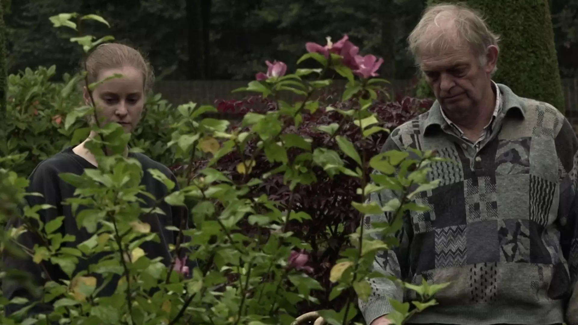 Beskrivende bilde relatert til innholdet i filmen "Onkel"