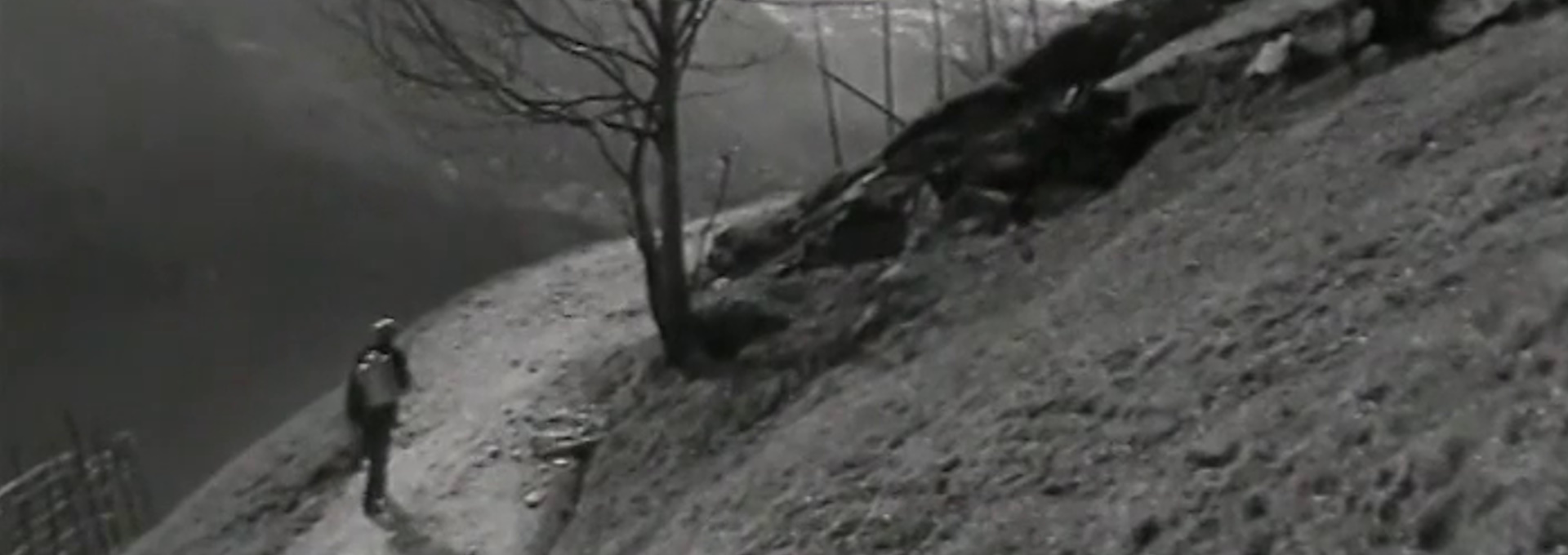 Beskrivende bilde relatert til innholdet i filmen "Havretunet"