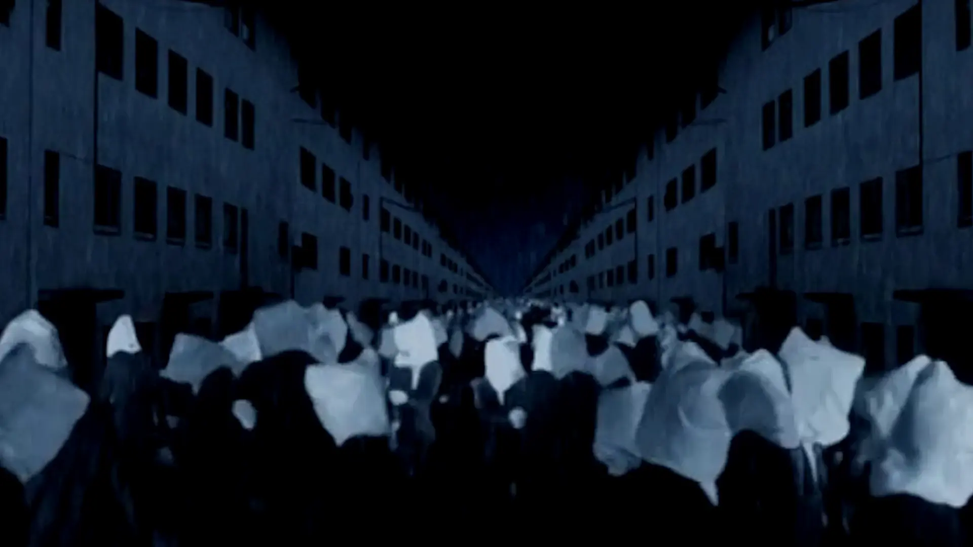 Beskrivende bilde relatert til innholdet i filmen "Me, you and a plastic bag"