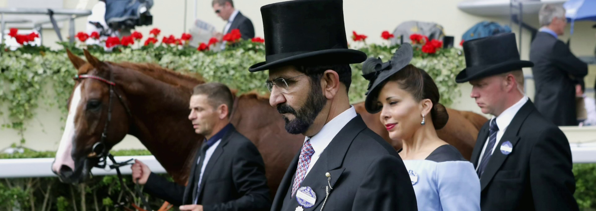 Beskrivende bilde relatert til innholdet i filmen "Dark horse"