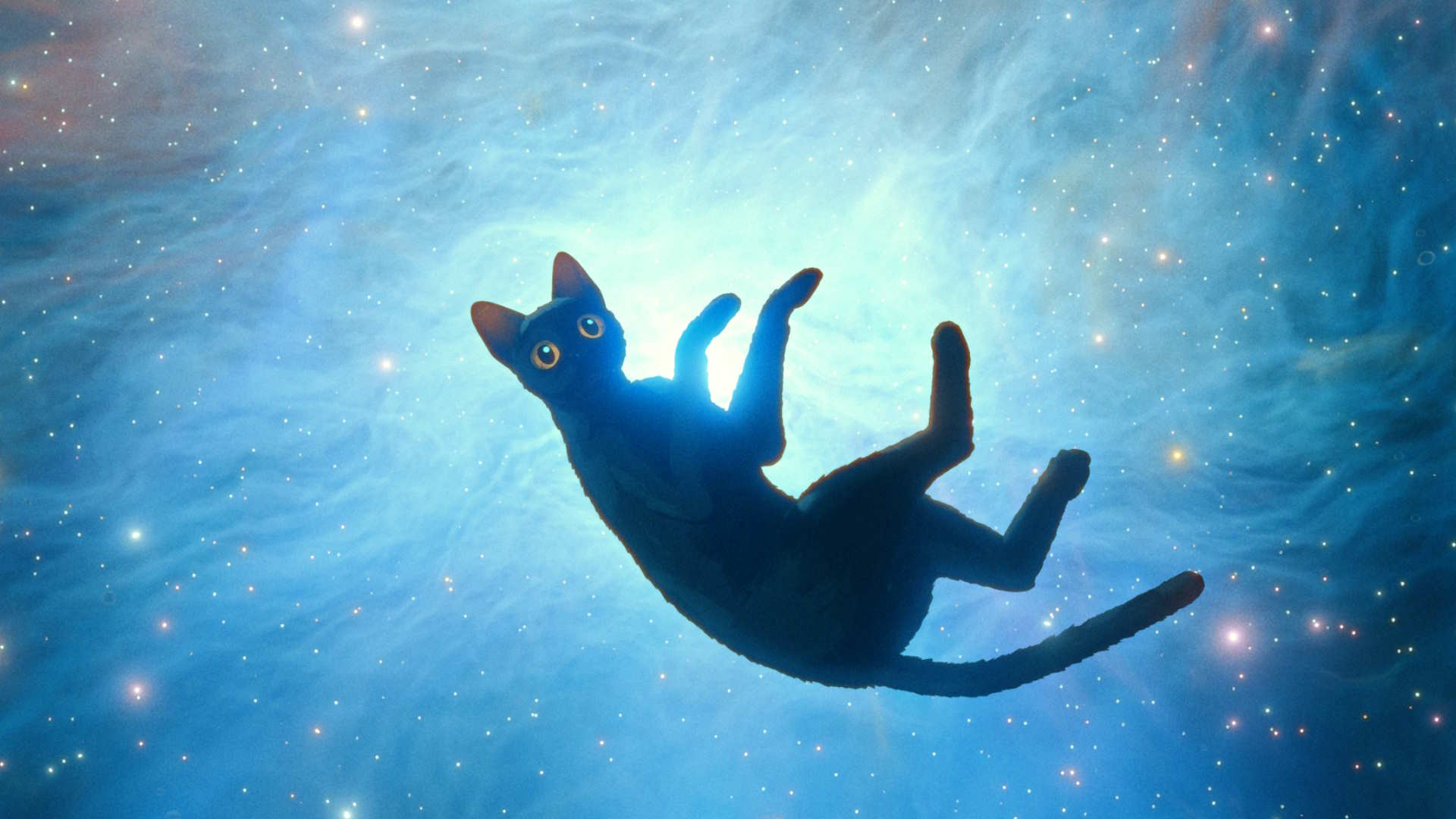 Stillbilde fra animasjonsfilmen "Flow". En svart katt svever i universet. Illustrasjon.