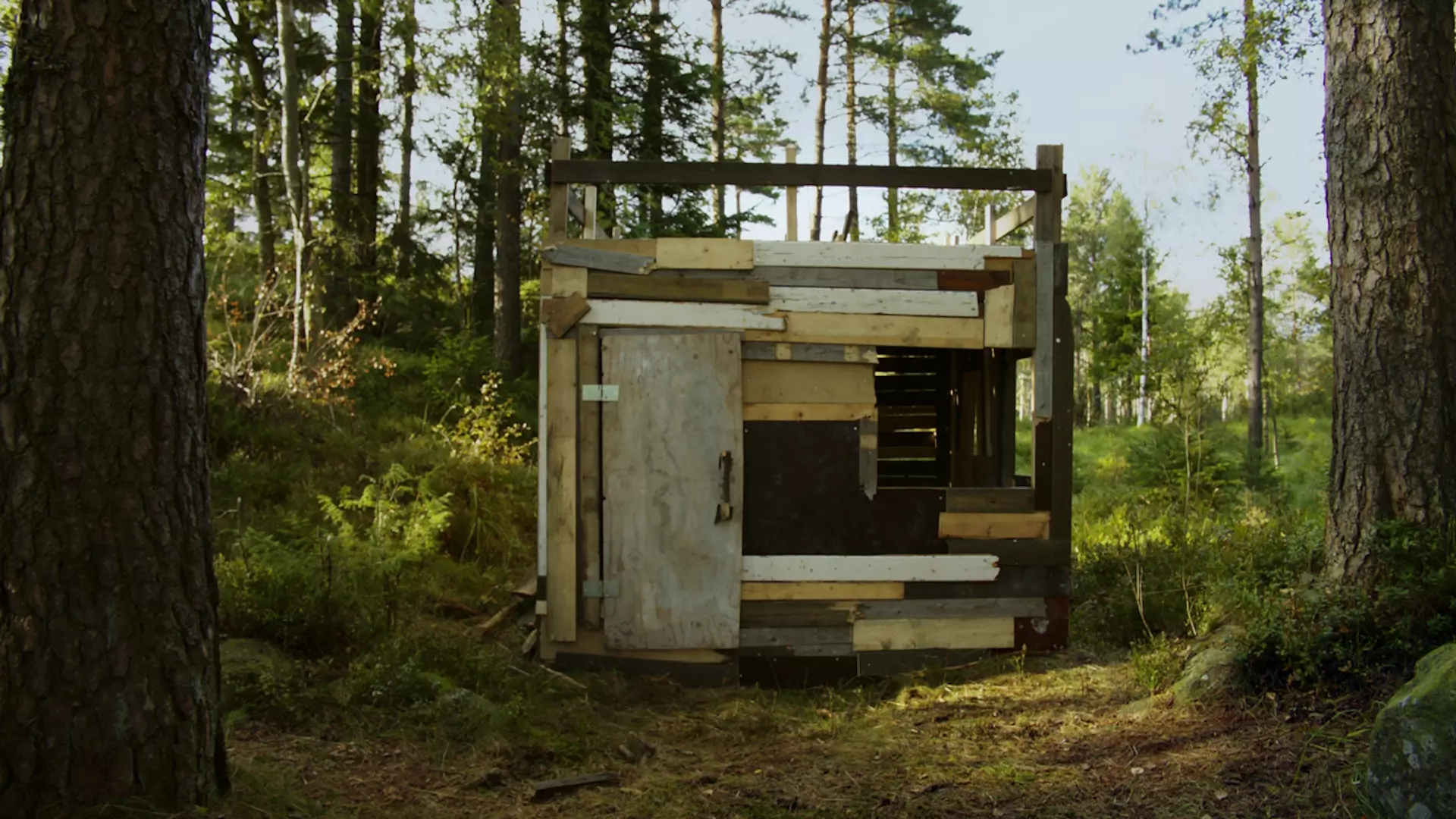Beskrivende bilde relatert til innholdet i filmen "Himmelen bak huset"