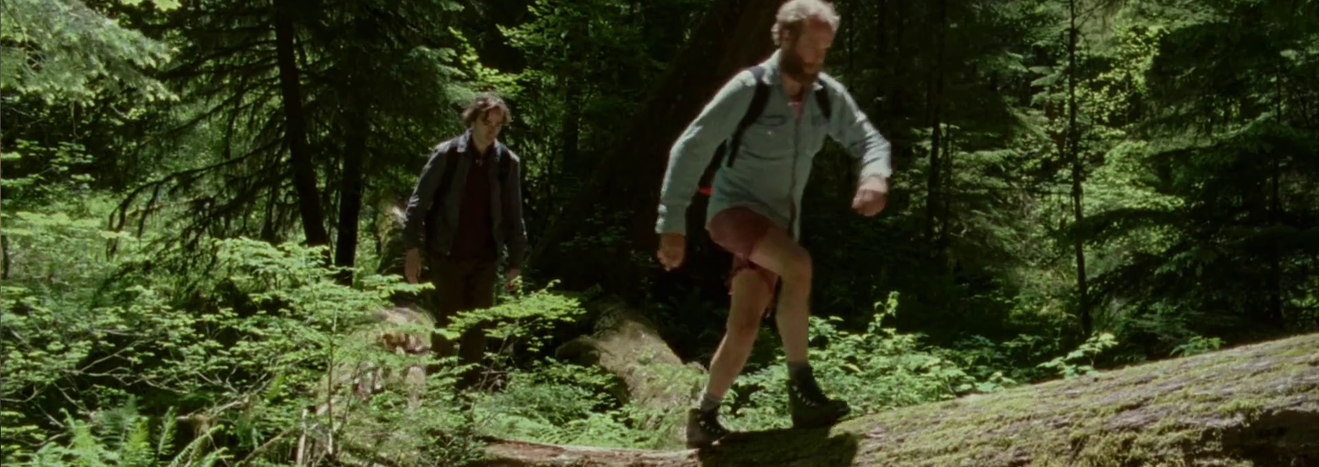 Beskrivende bilde relatert til innholdet i filmen "Old Joy"