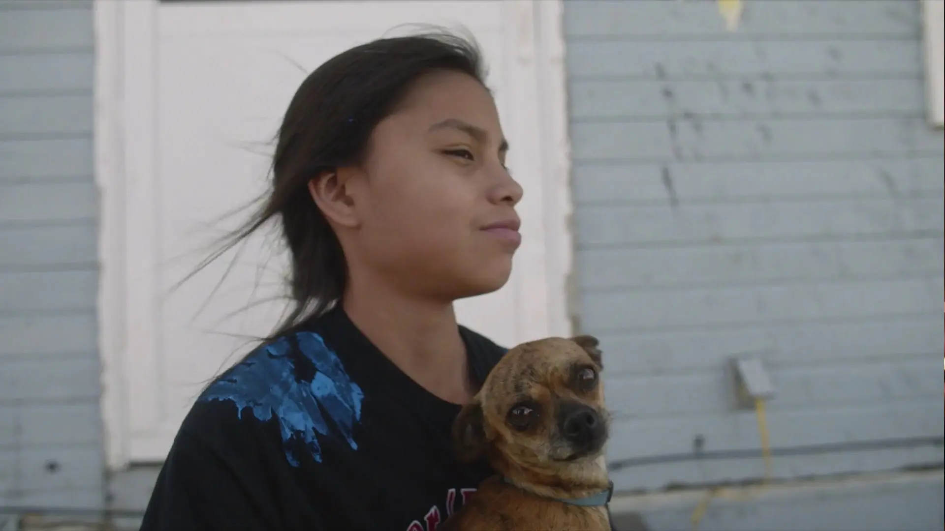 Beskrivende bilde relatert til innholdet i filmen "Songs My Brothers Taught Me"