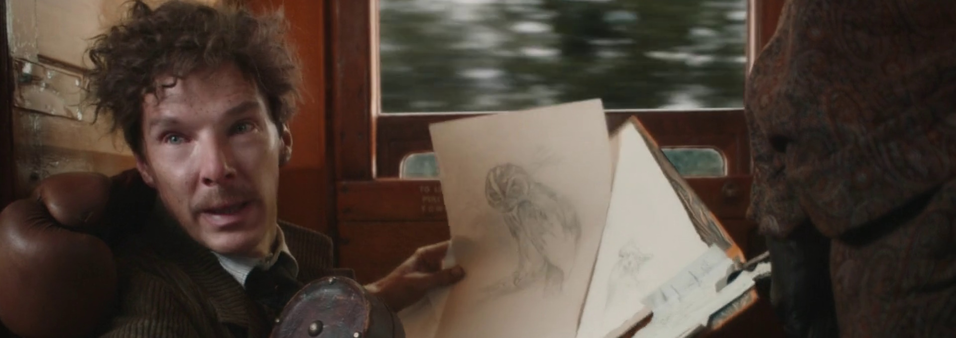 Beskrivende bilde relatert til innholdet i filmen "The Electrical Life of Louis Wain"