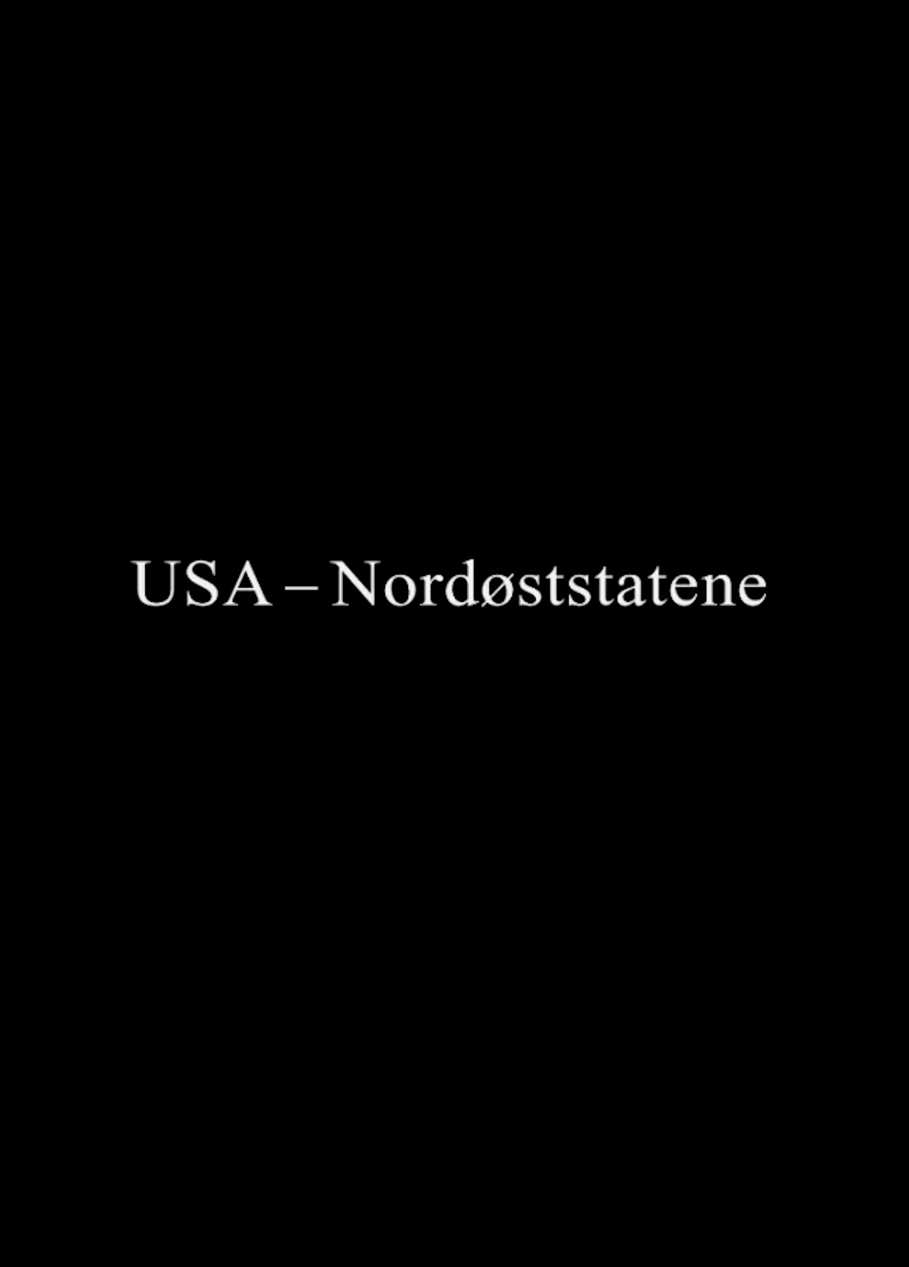 Beskrivende bilde relatert til innholdet i filmen "USA - nordøststatene"