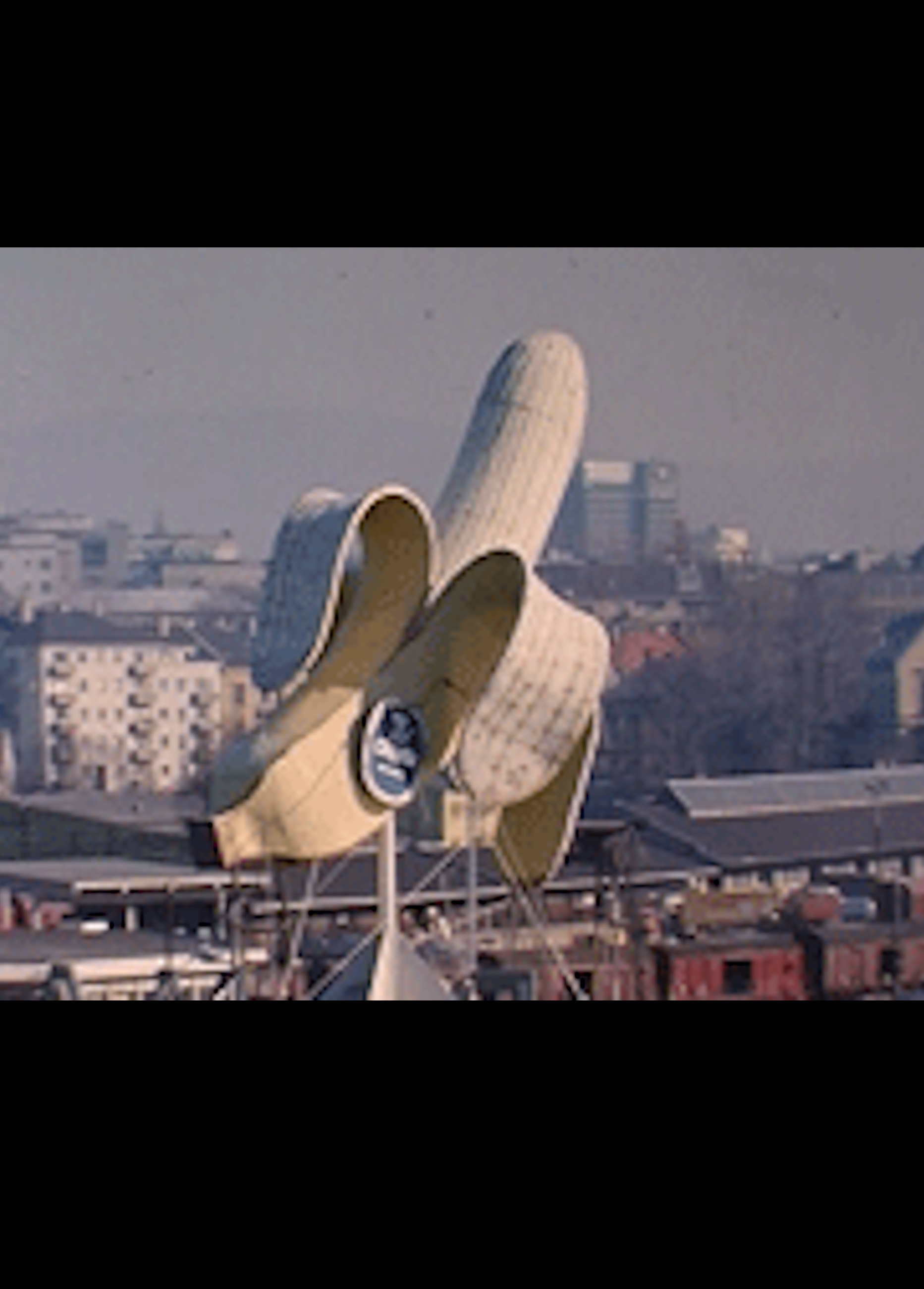 Beskrivende bilde relatert til innholdet i filmen "Bananen"