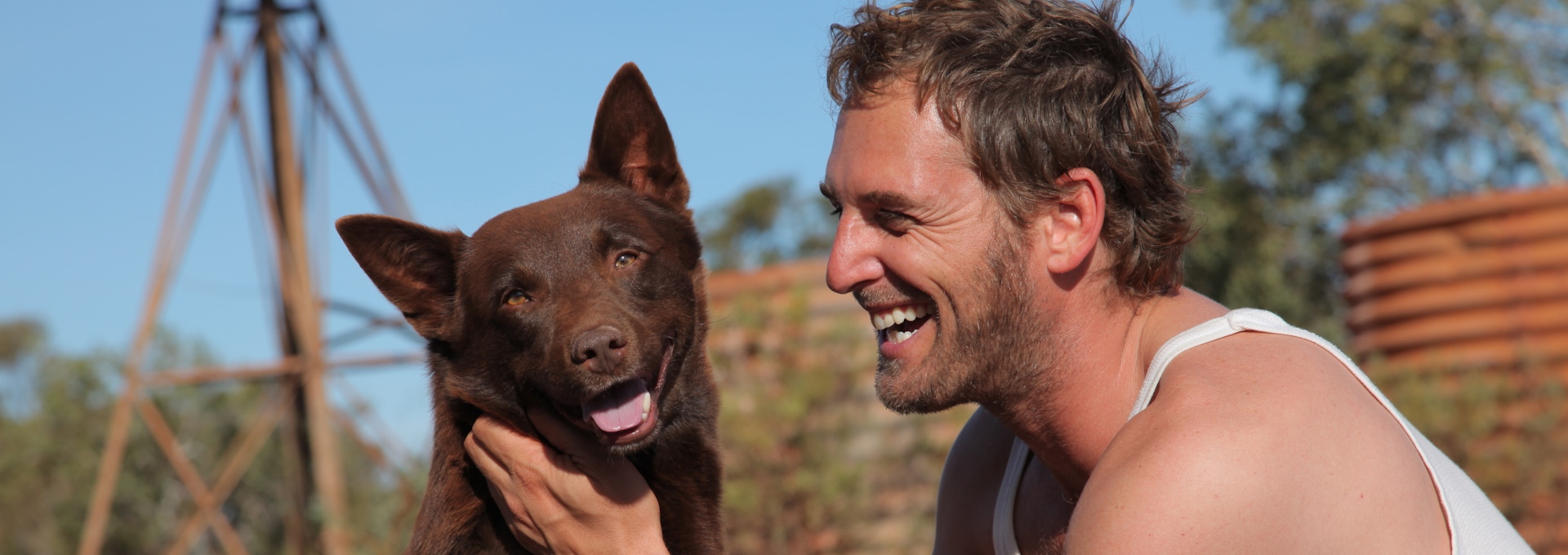 Beskrivende bilde relatert til innholdet i filmen "Red Dog"
