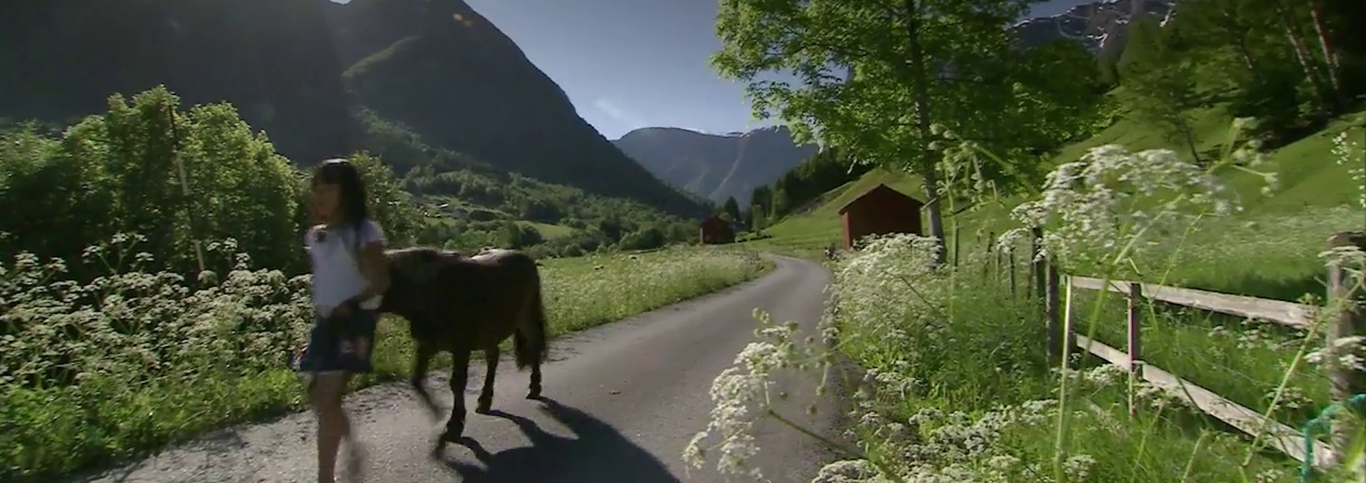 Beskrivende bilde relatert til innholdet i filmen "Tvillingsøstrene"