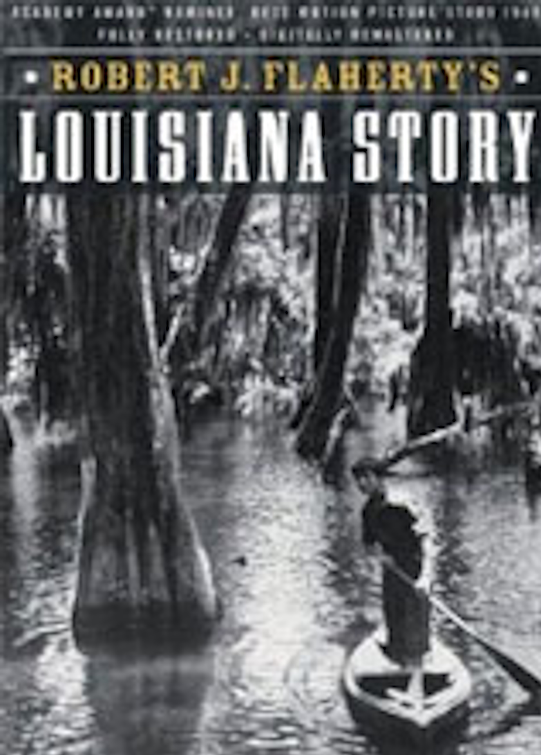Beskrivende bilde relatert til innholdet i filmen "Louisiana Story"