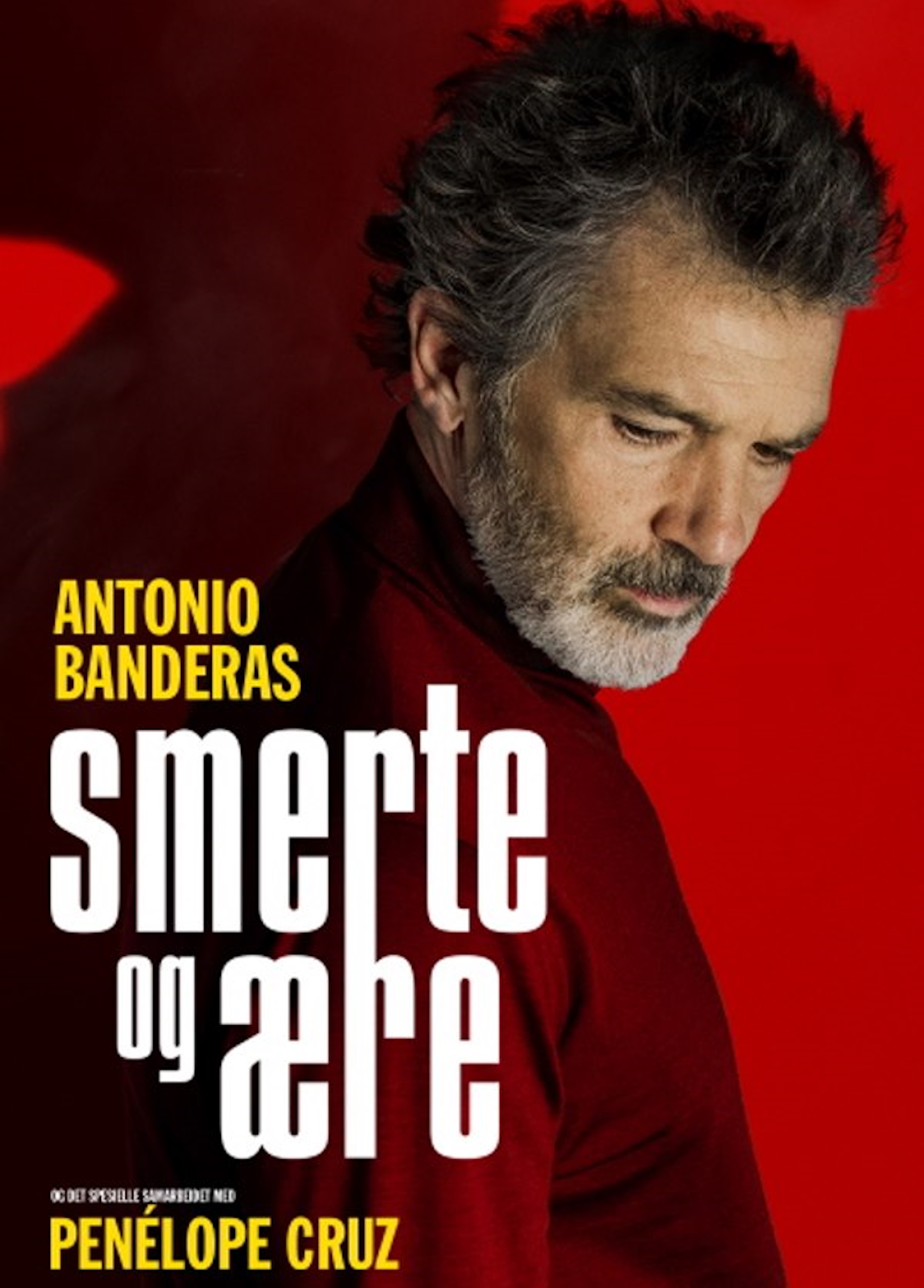 Beskrivende bilde relatert til innholdet i filmen "Smerte og ære"