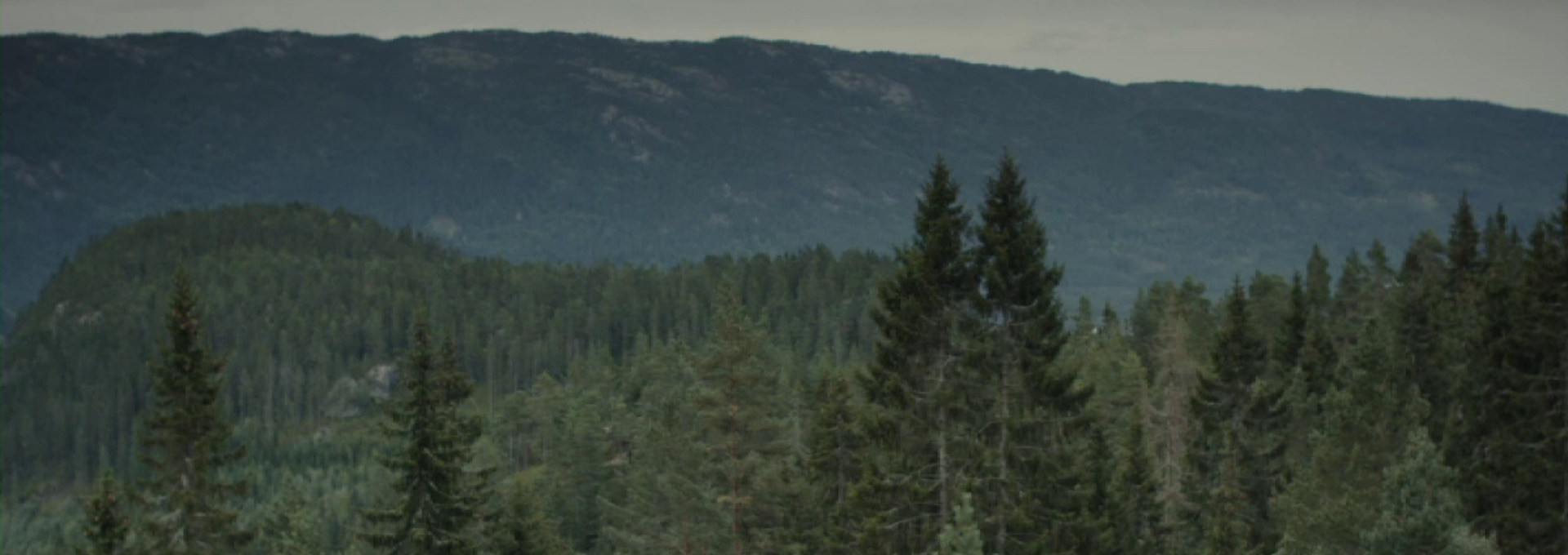 Beskrivende bilde relatert til innholdet i filmen "Everything will be OK"